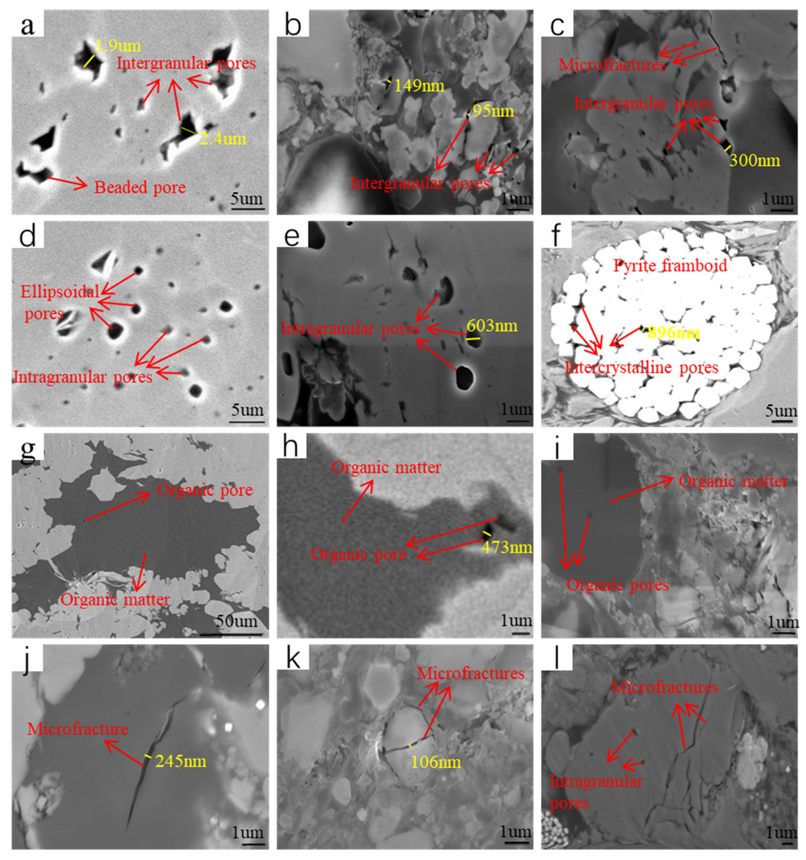 Fractalfract 09 00524 g003