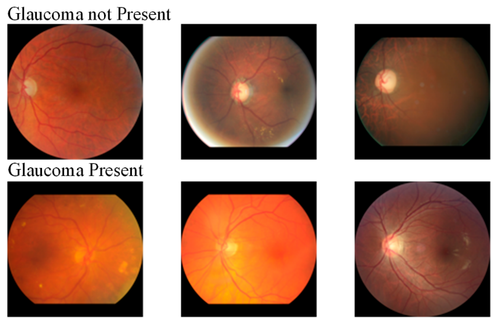 Fractalfract 09 00533 g008