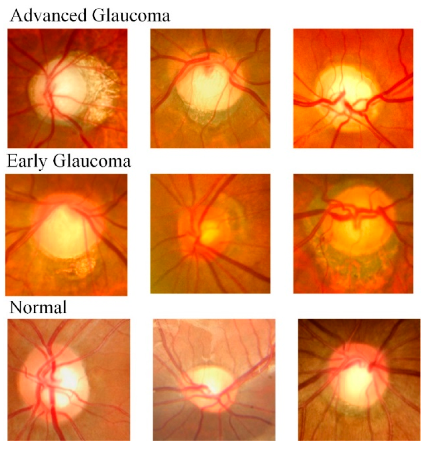 Fractalfract 09 00533 g009