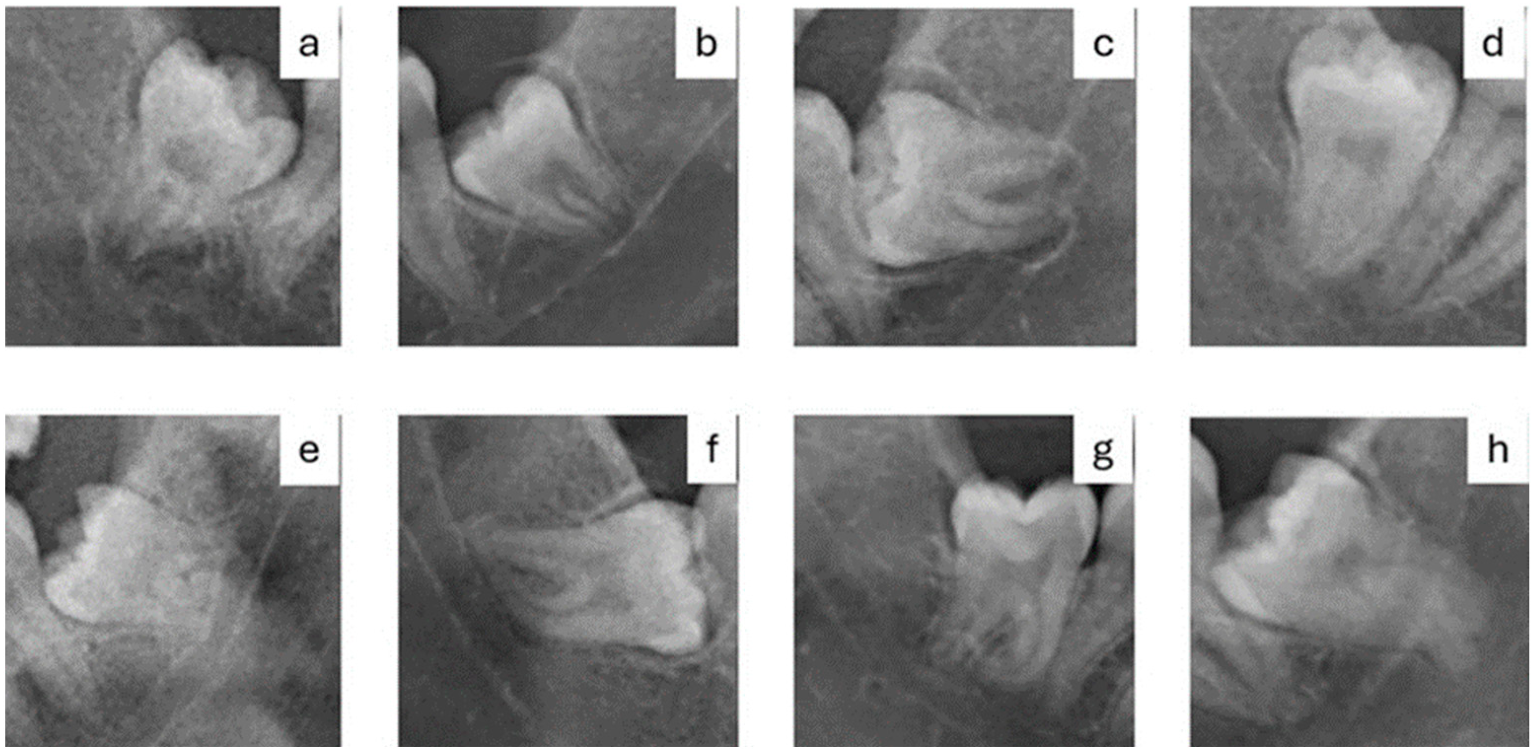 Fractalfract 09 00612 g001