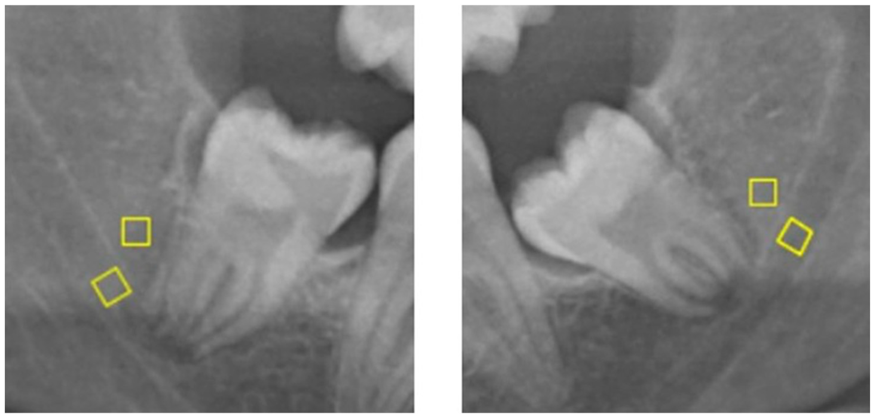 Fractalfract 09 00612 g002