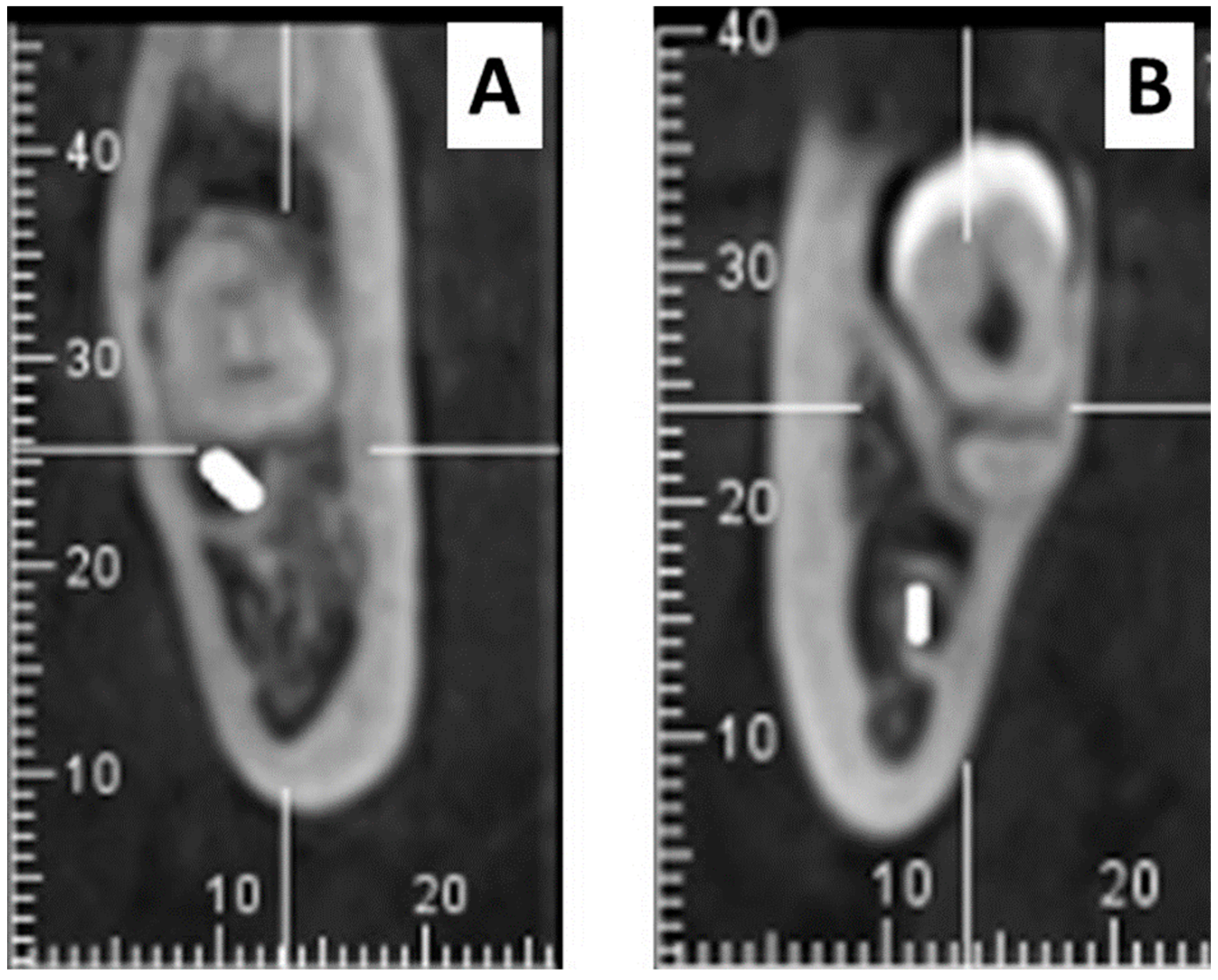 Fractalfract 09 00612 g003