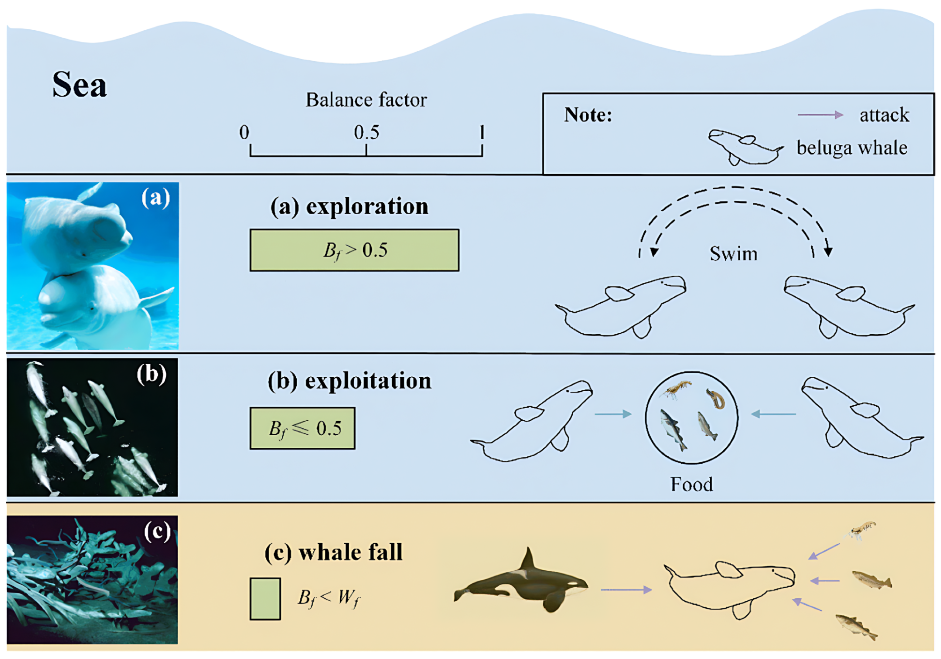 Fractalfract 09 00619 g002