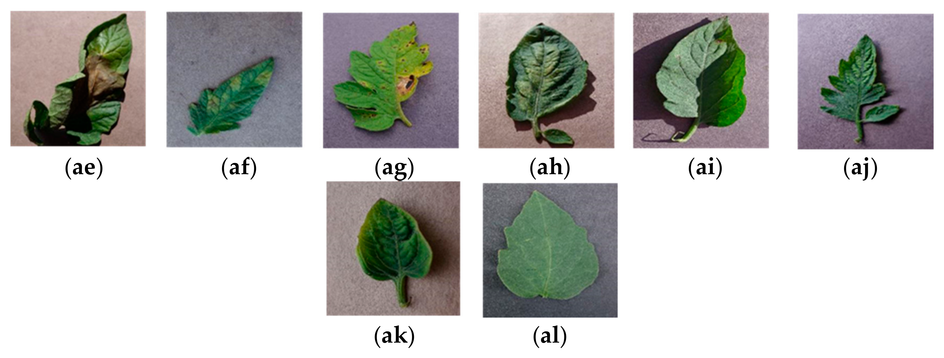 Fractalfract 09 00691 g001b Fractalfract 09 00691 g001b