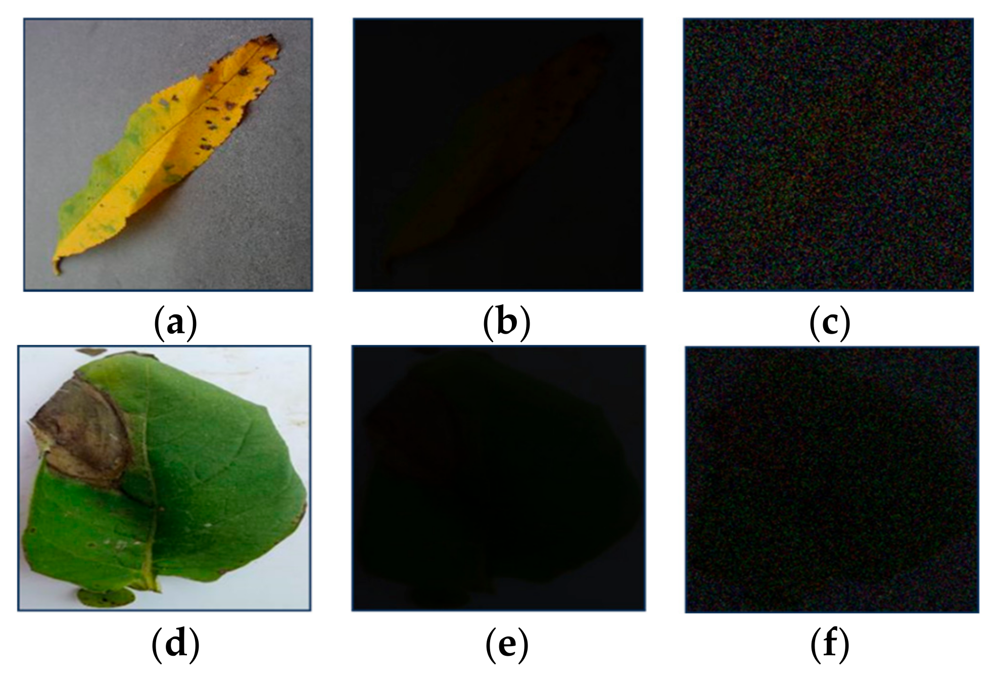 Fractalfract 09 00691 g003 Fractalfract 09 00691 g003