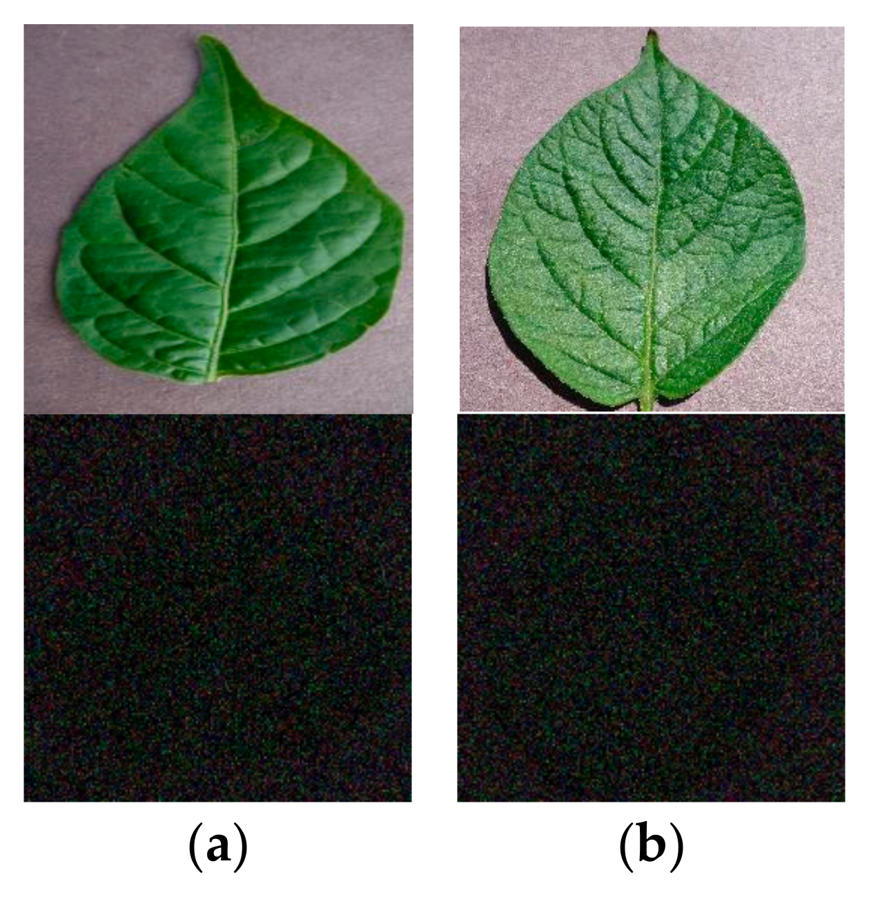 Fractalfract 09 00691 g017 Fractalfract 09 00691 g017