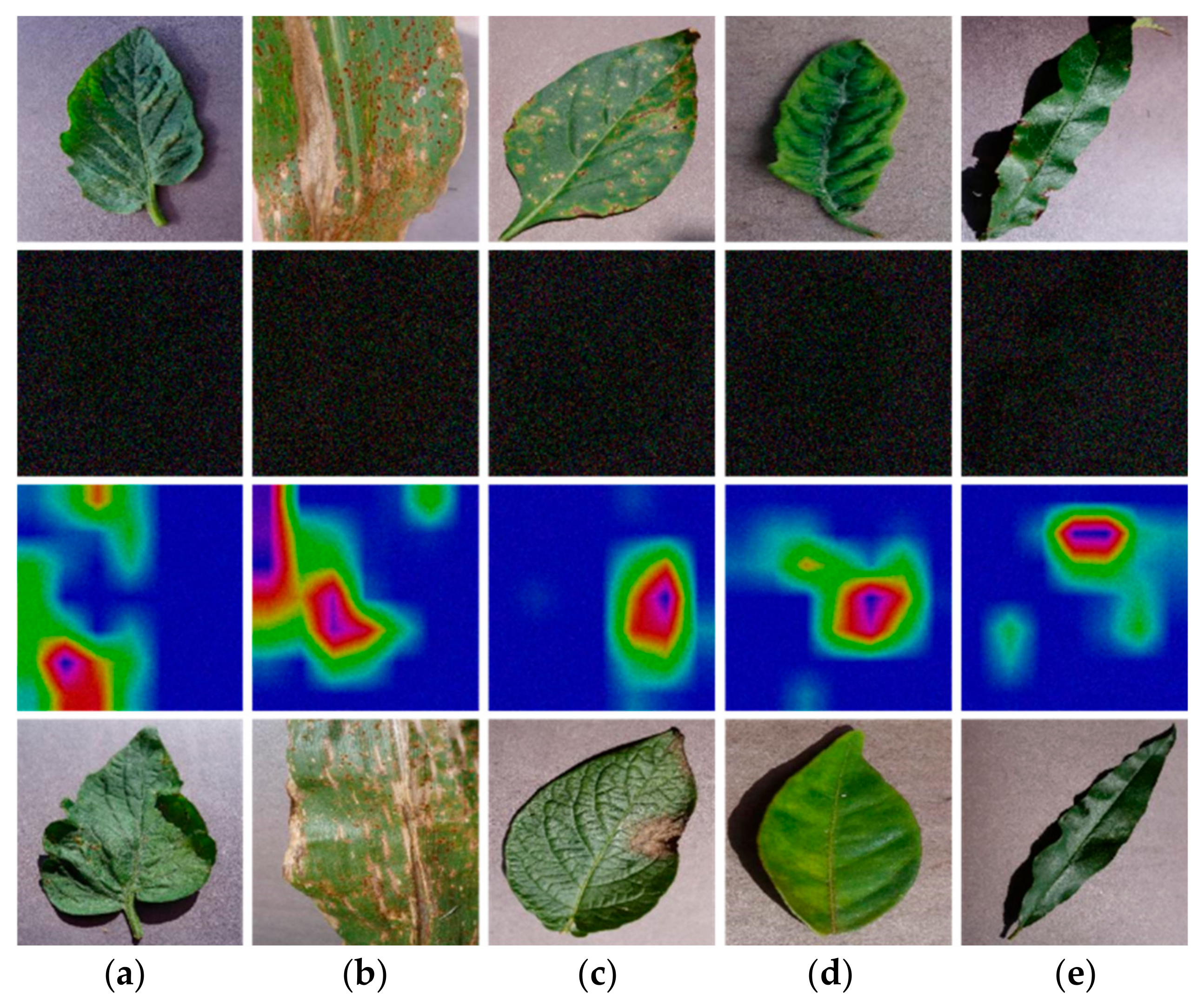 Fractalfract 09 00691 g019 Fractalfract 09 00691 g019