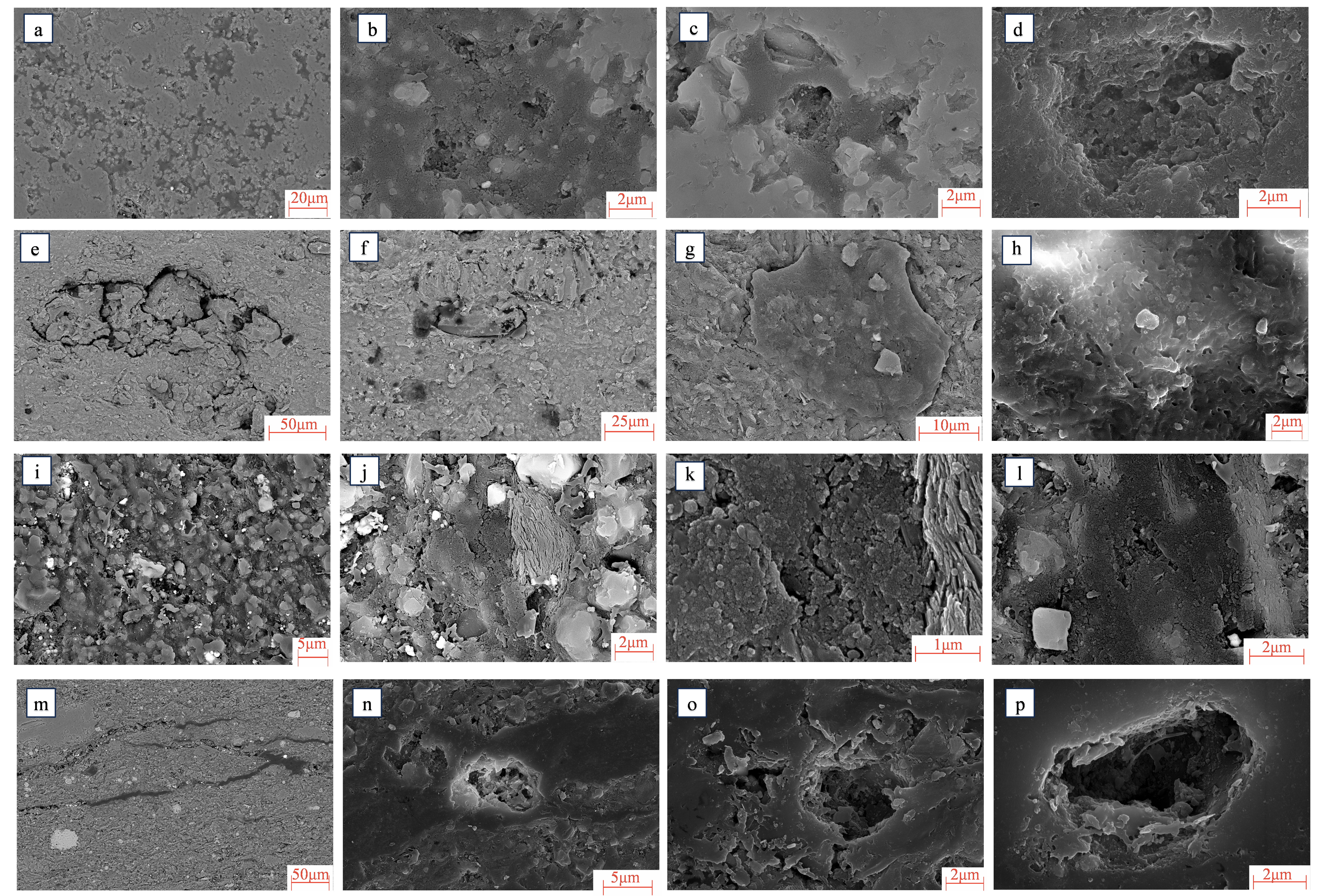 Fractalfract 09 00731 g003