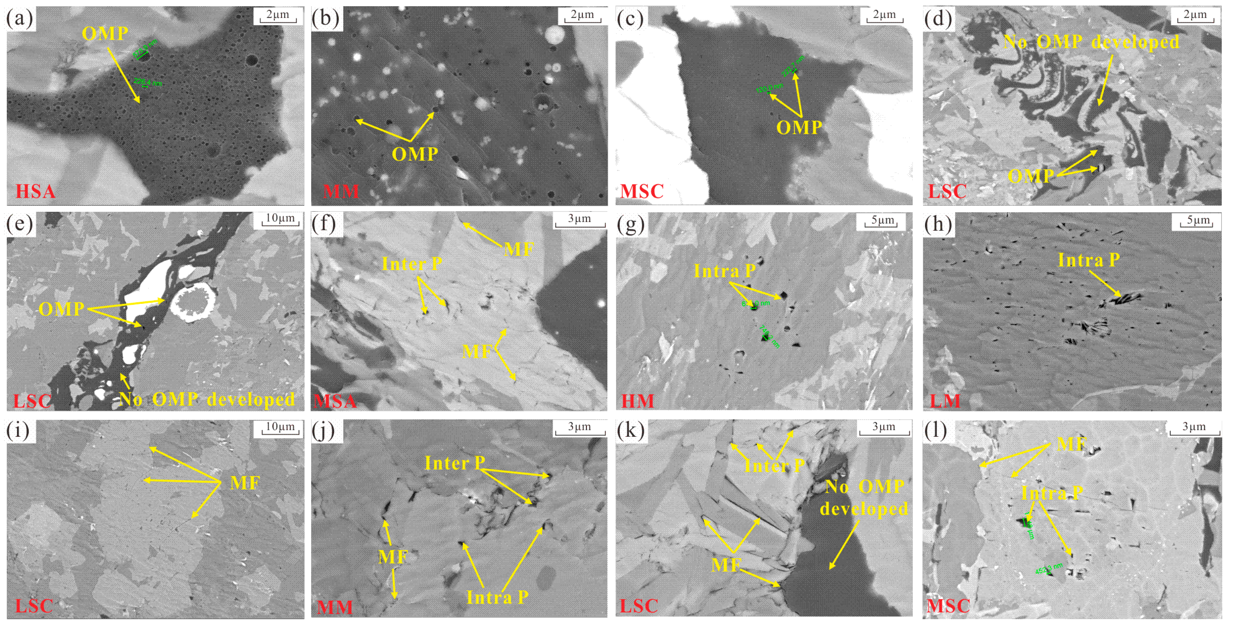 Fractalfract 09 00795 g006 Fractalfract 09 00795 g006