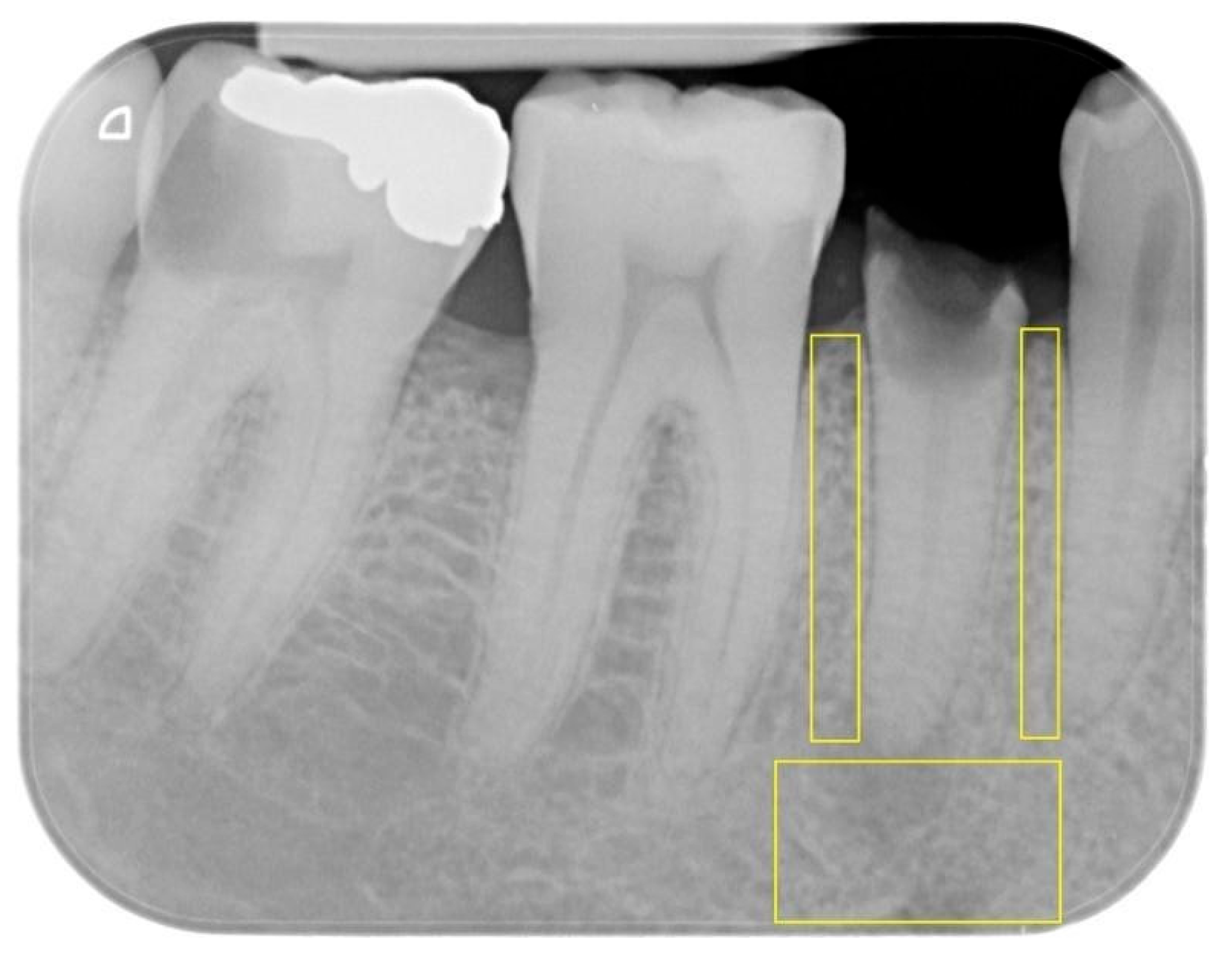 Fractalfract 09 00818 g003 Fractalfract 09 00818 g003