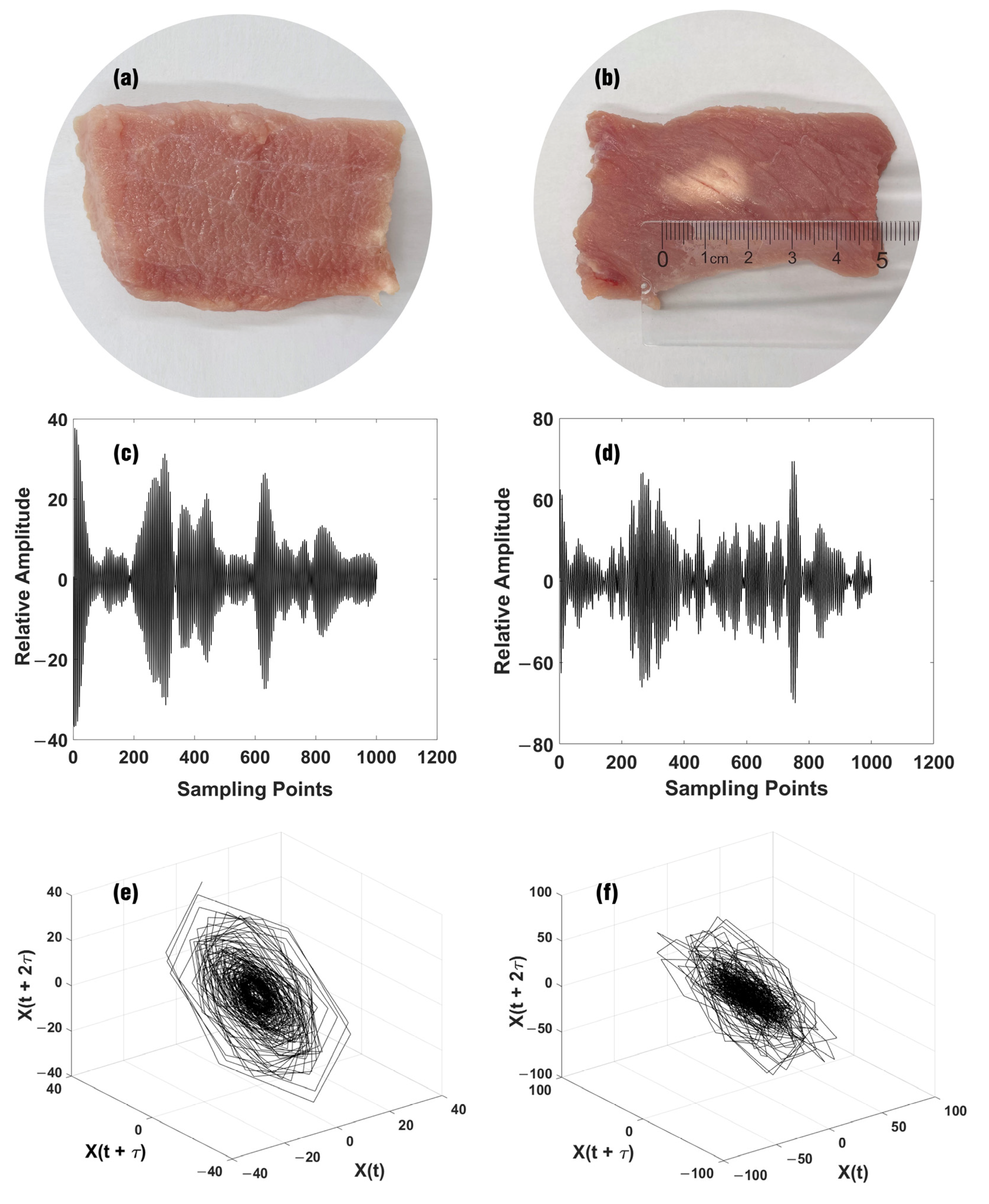 Fractalfract 09 00819 g004 Fractalfract 09 00819 g004