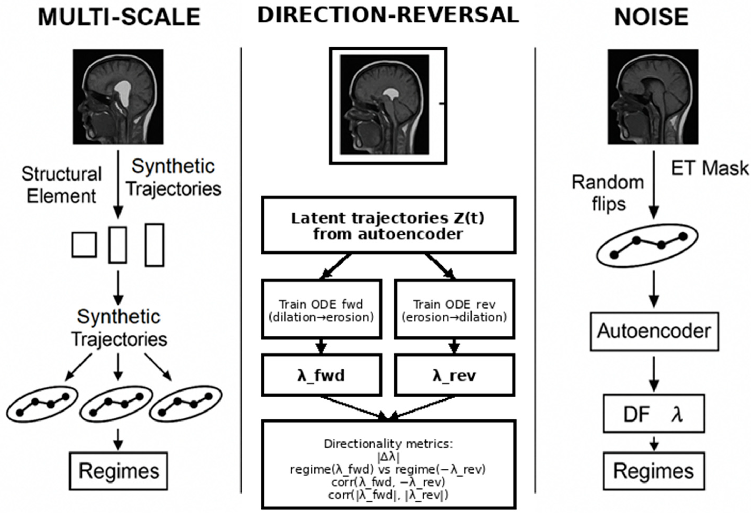 Fractalfract 10 00008 g002