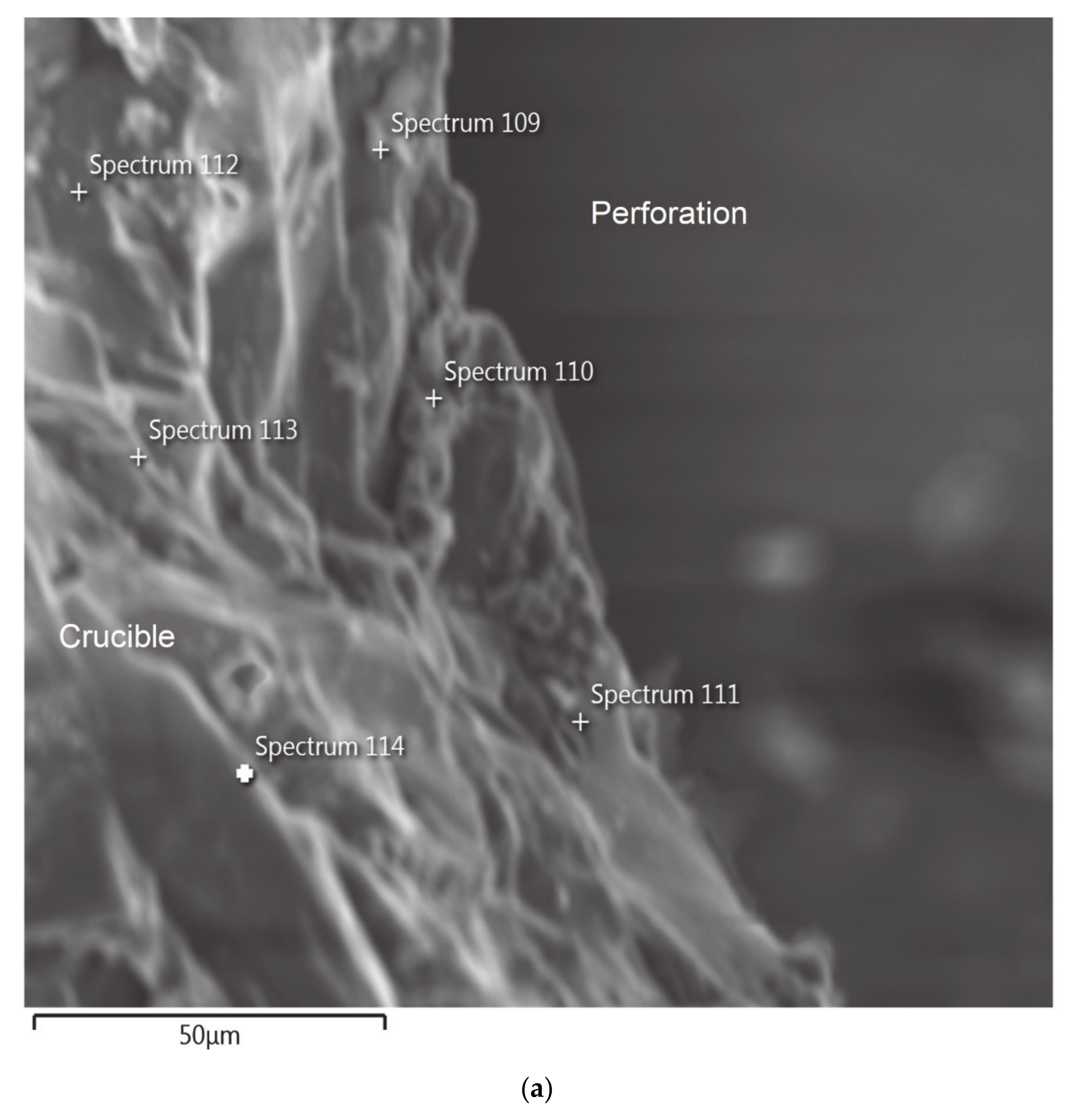 Fuels 02 00004 g005a