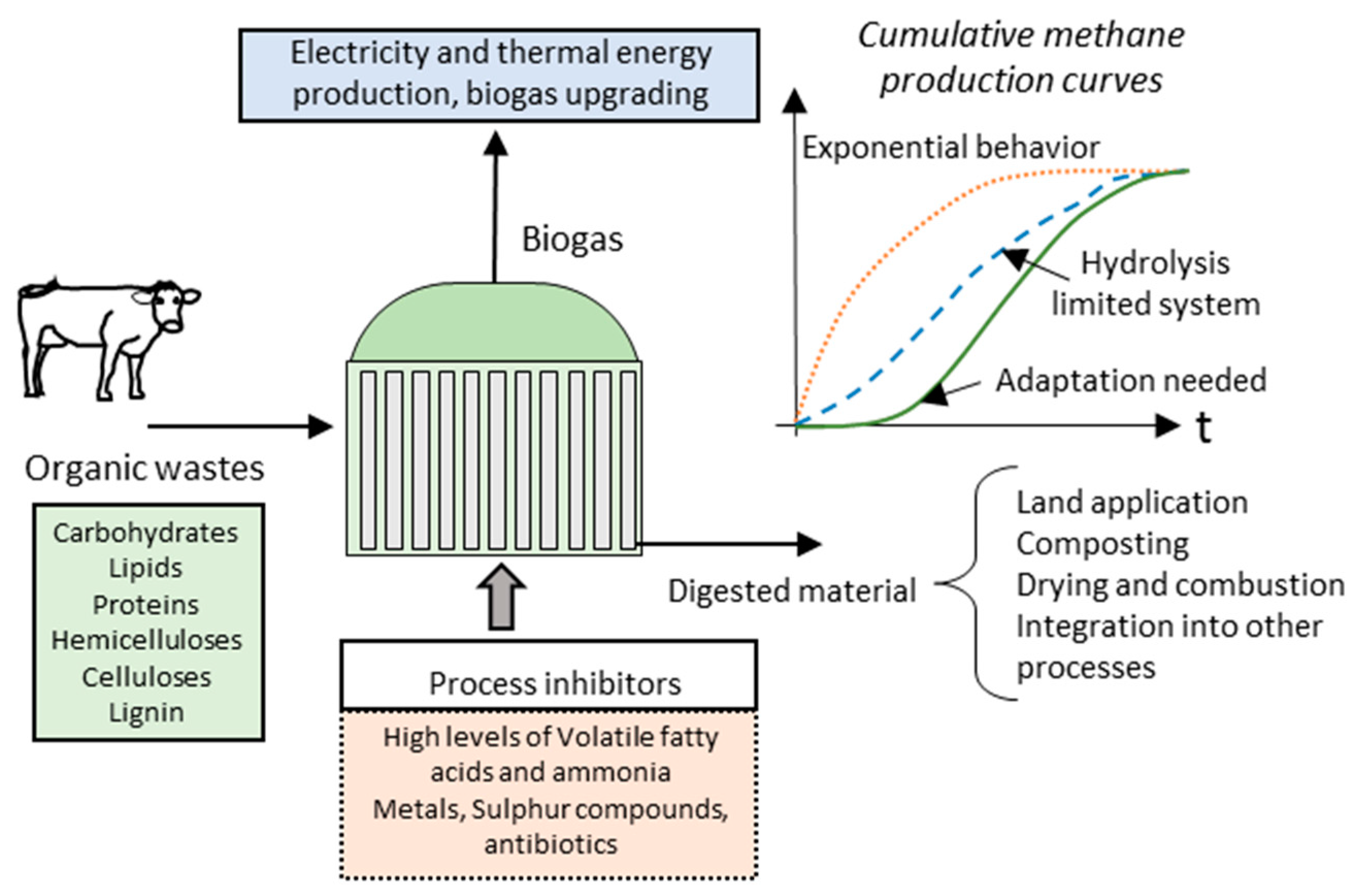 Fuels Free FullText Biogas Production from Organic Wastes