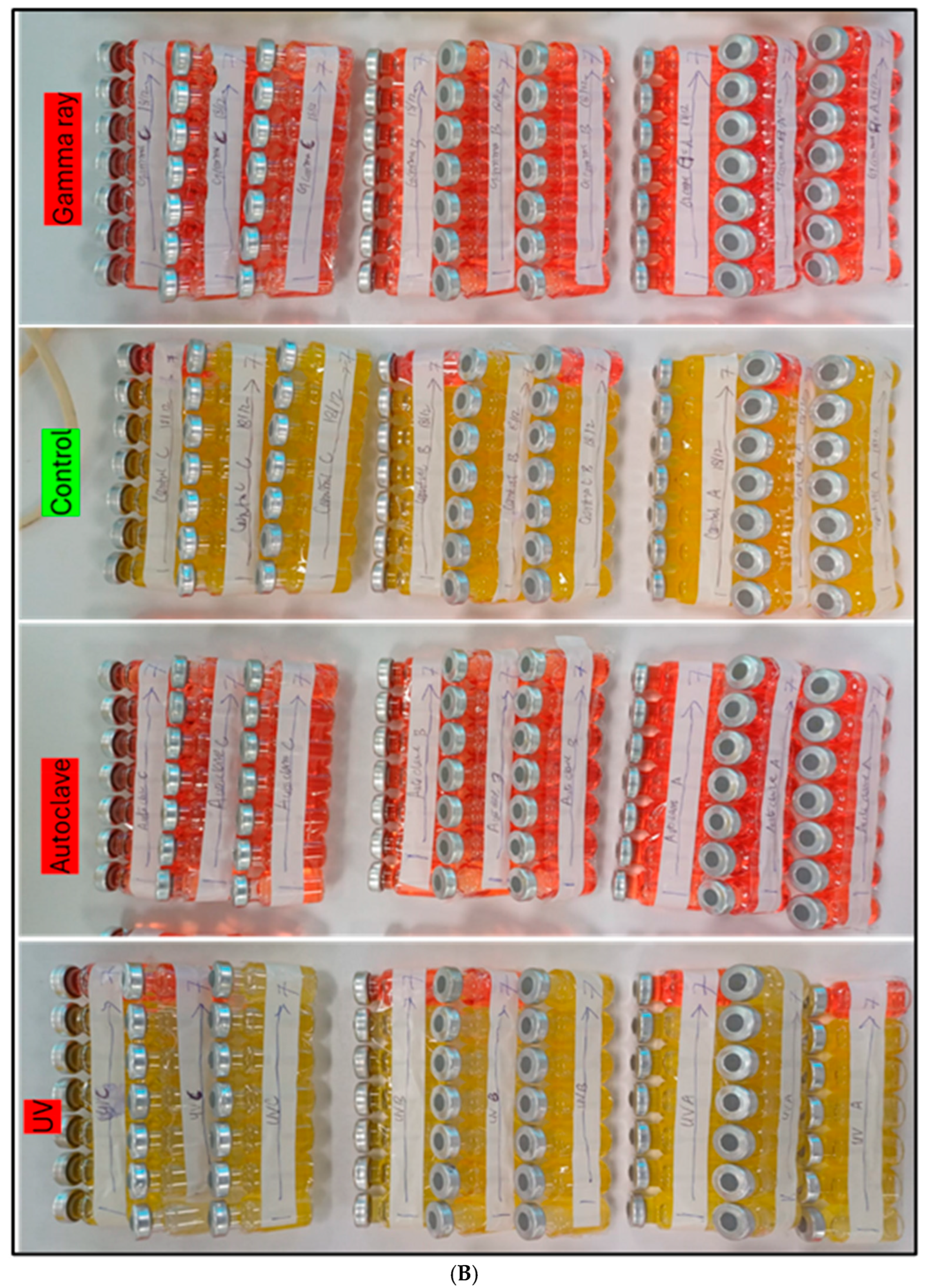 Fuels 06 00052 g005b