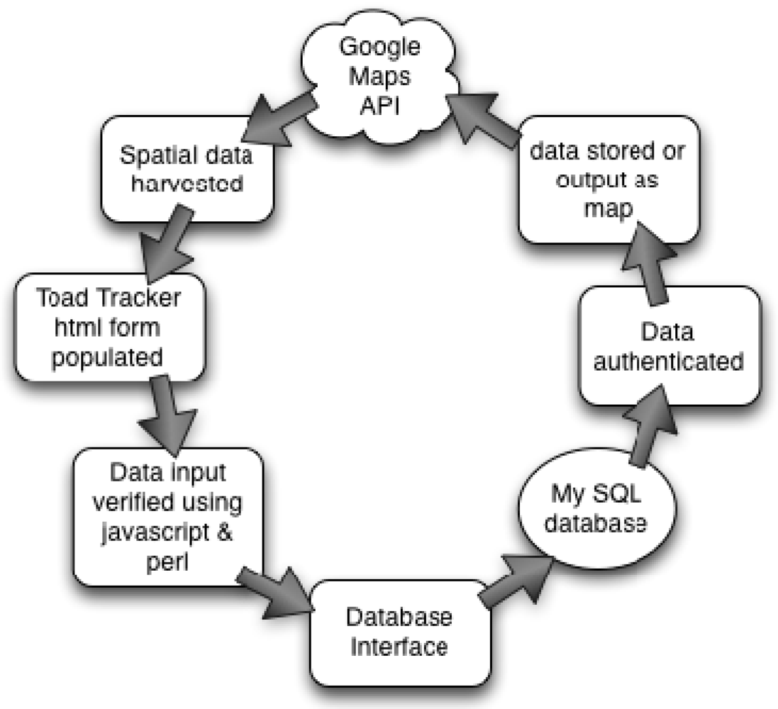 Futureinternet 04 00551 g002