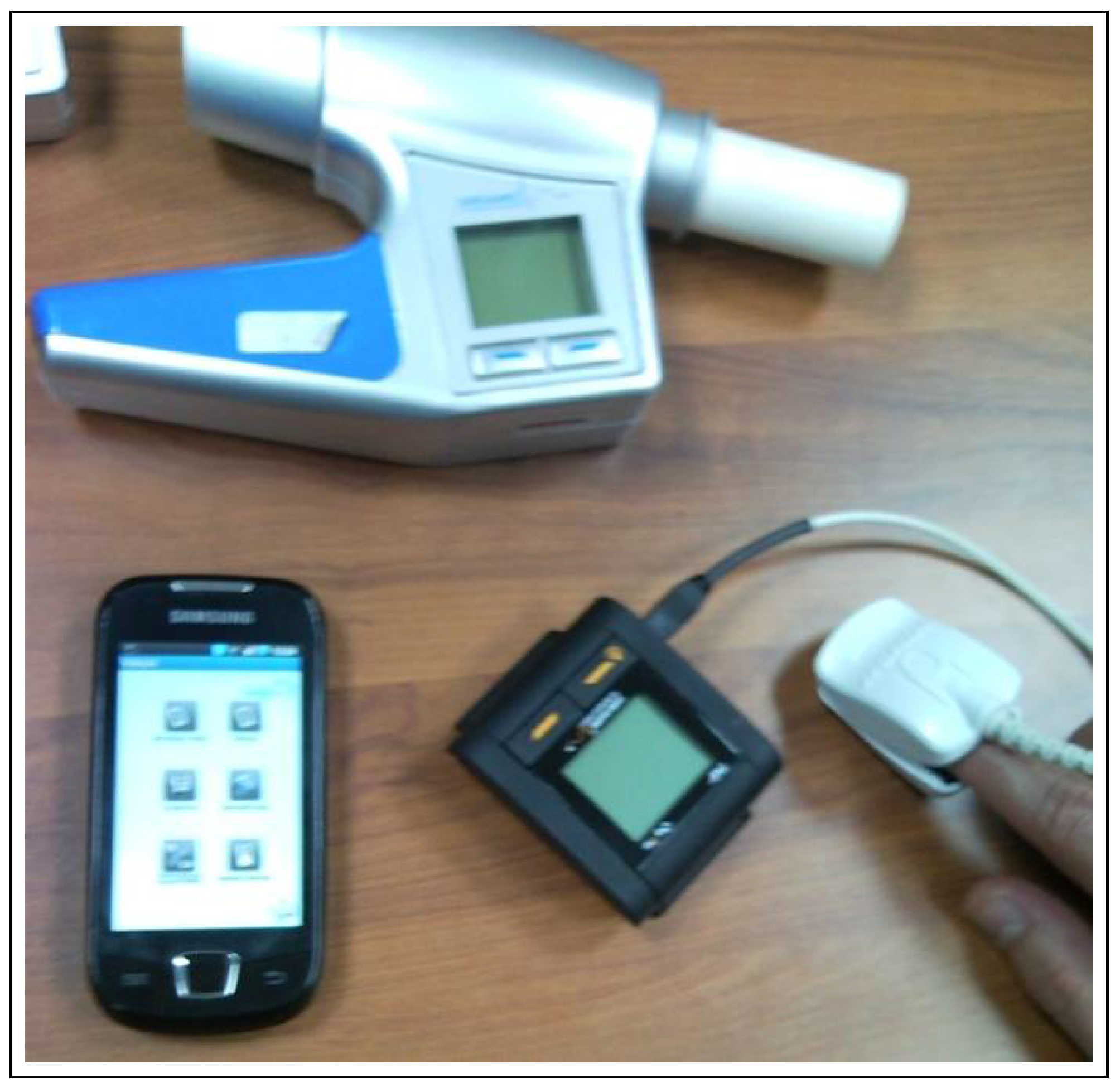 Futureinternet 05 00317 g010 1024