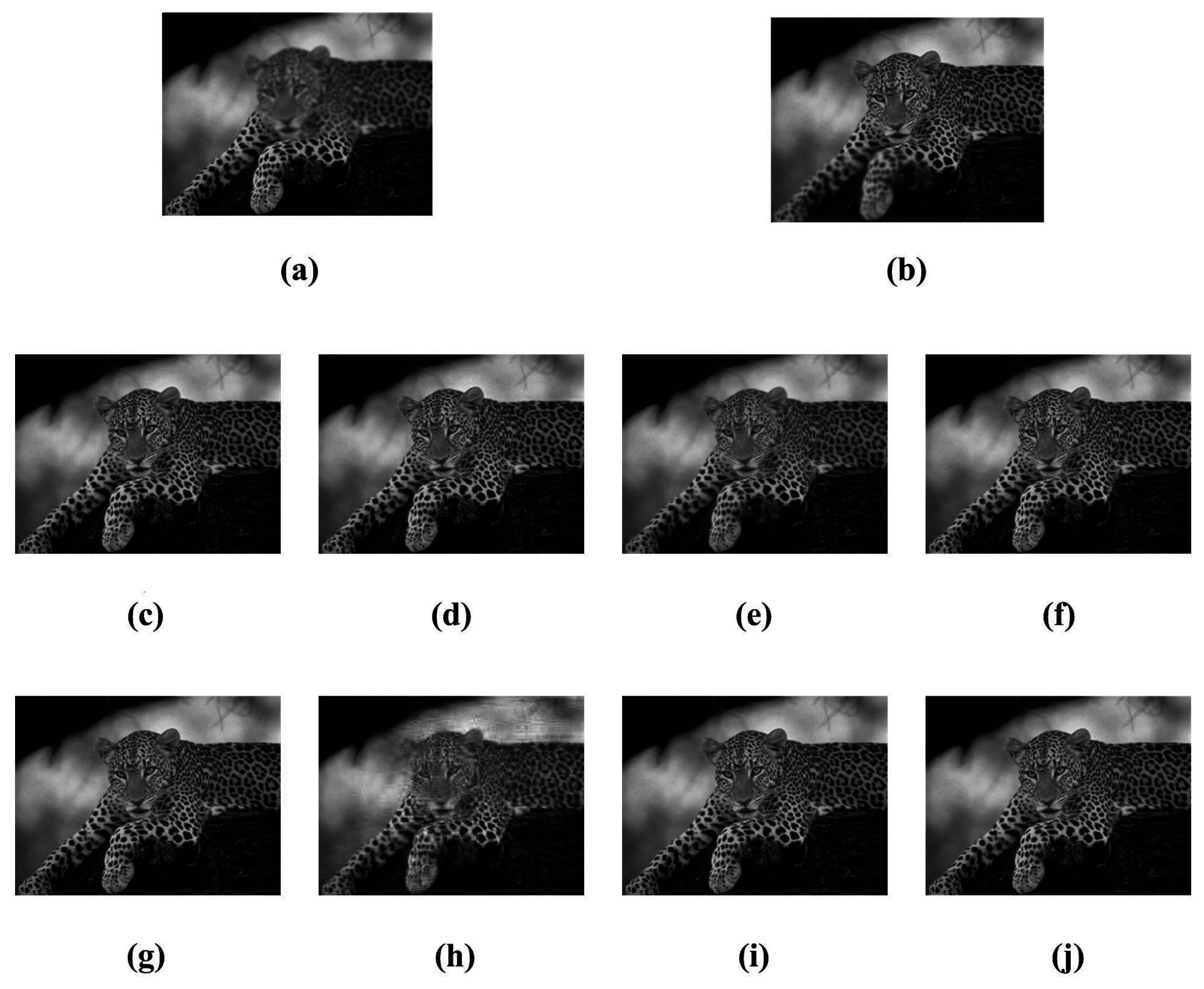 Futureinternet 08 00053 g006 550