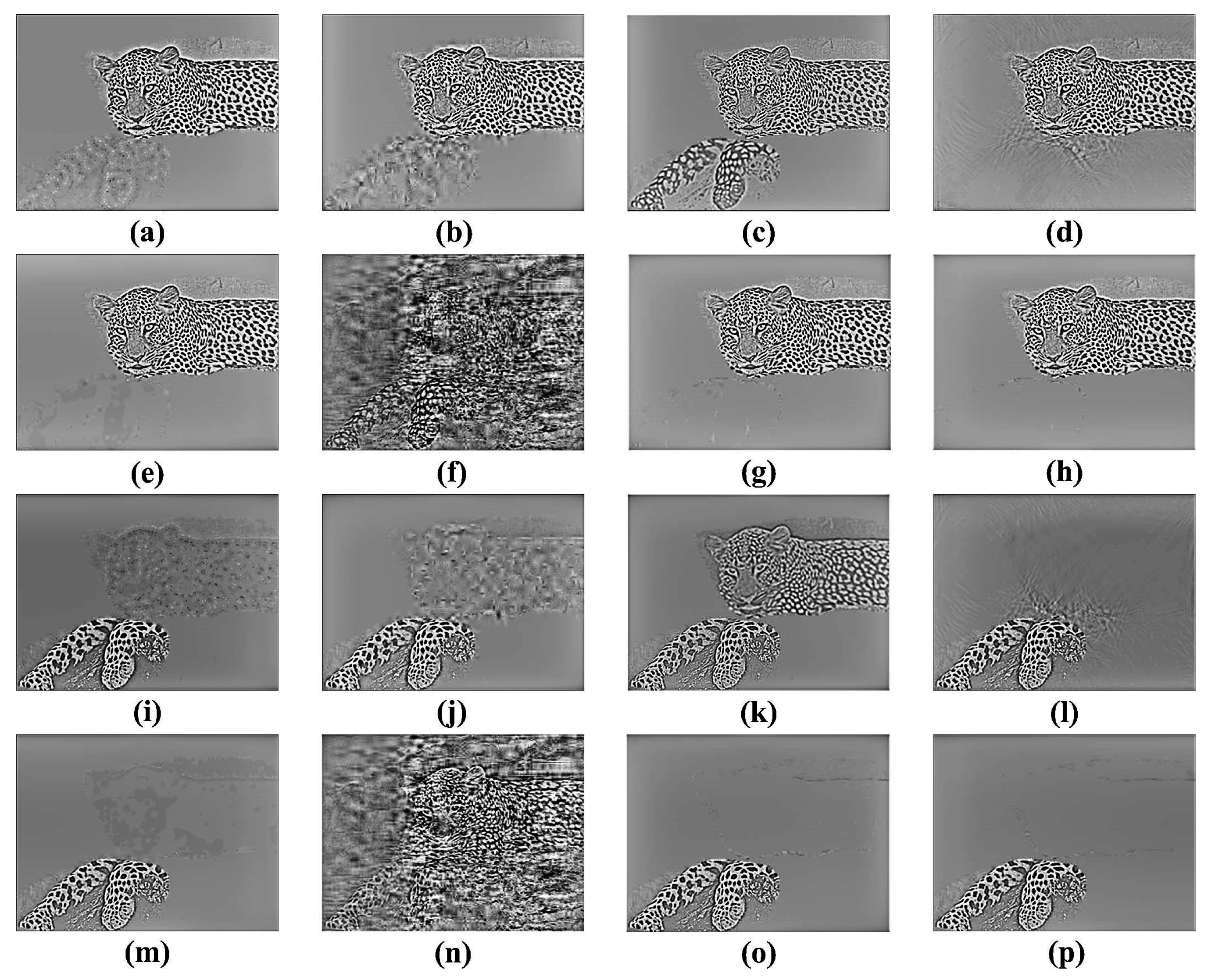 Futureinternet 08 00053 g009 550