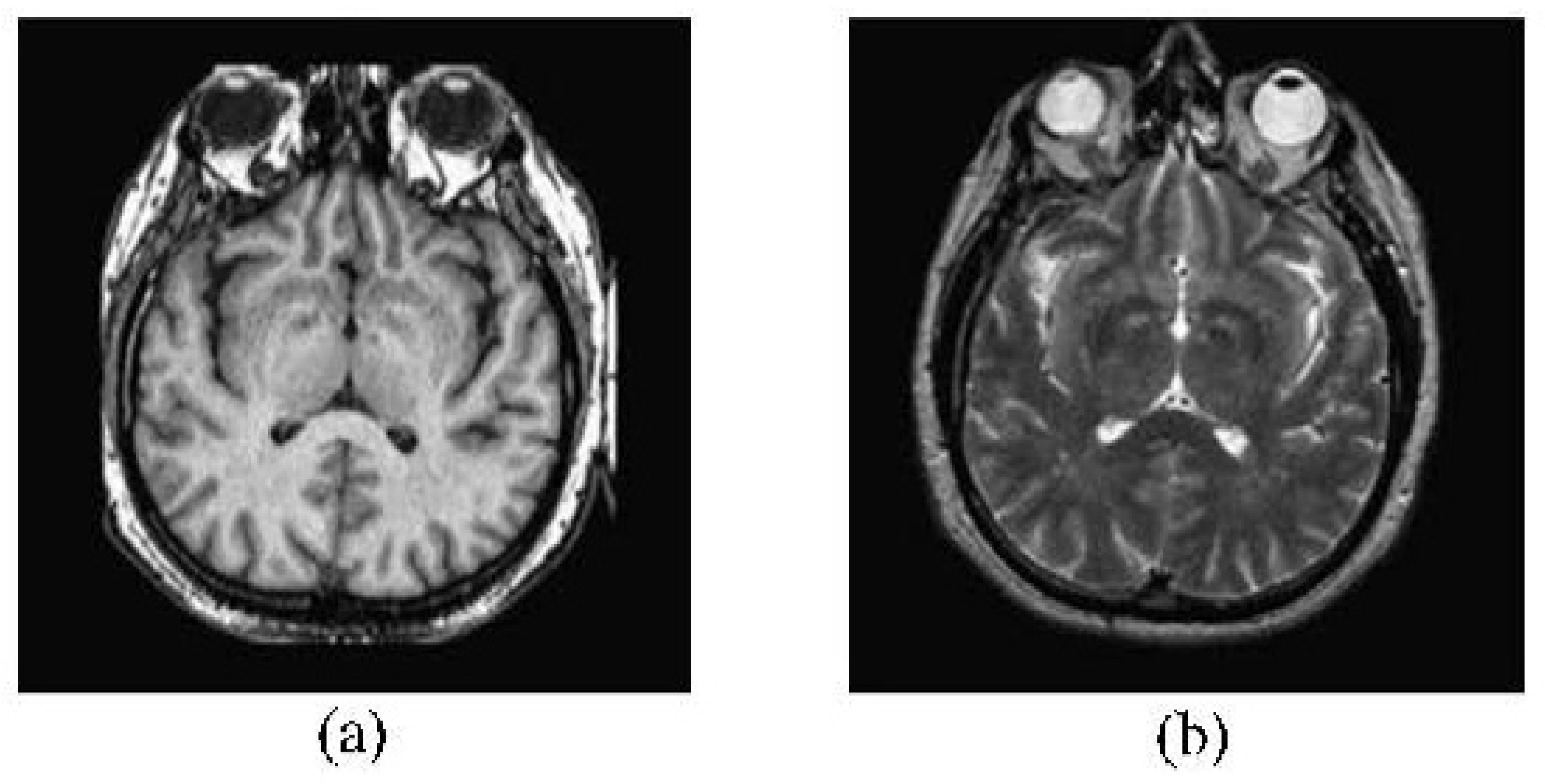 Futureinternet 09 00061 g002