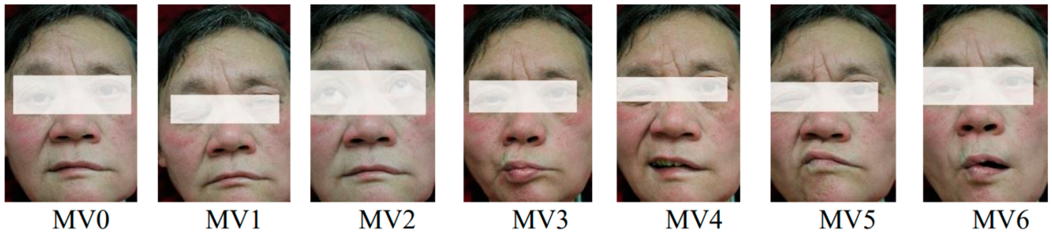 Futureinternet 10 00111 g002