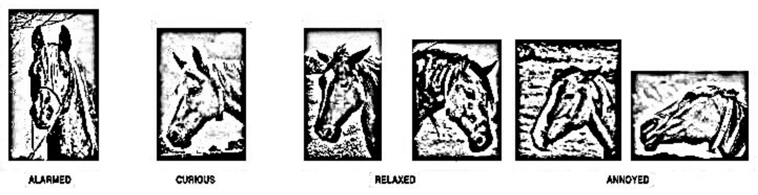 Futureinternet 13 00250 g001