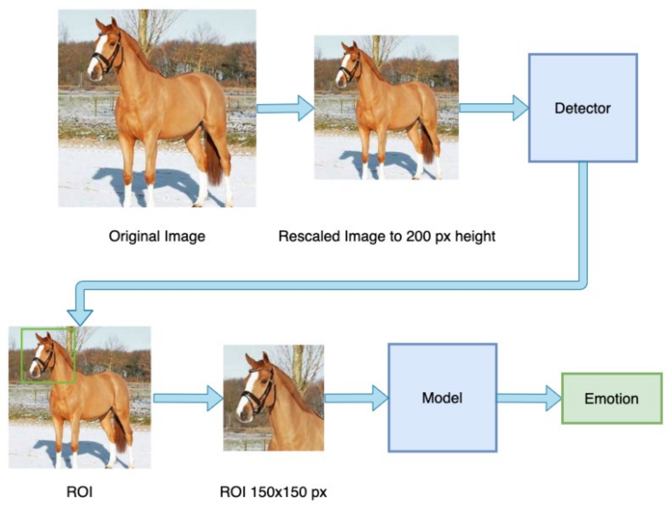Futureinternet 13 00250 g003