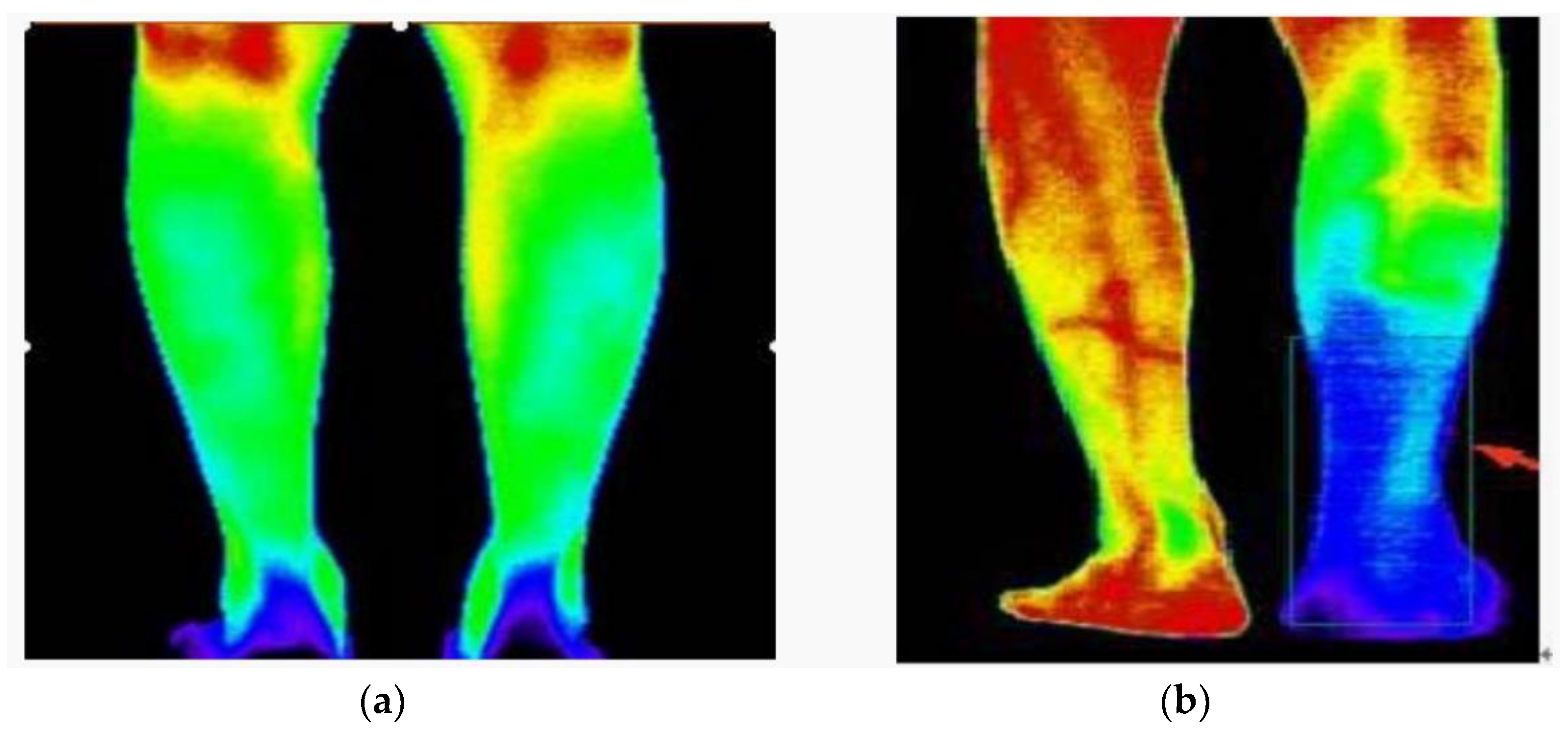 Futureinternet 14 00015 g001
