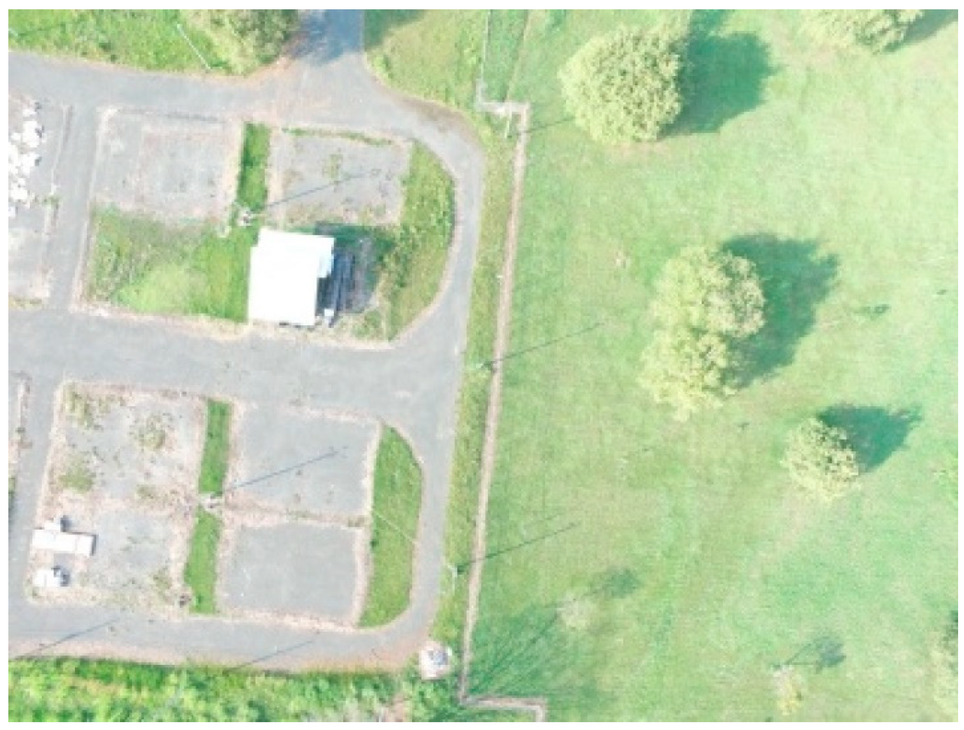 Futureinternet 14 00231 g004 550