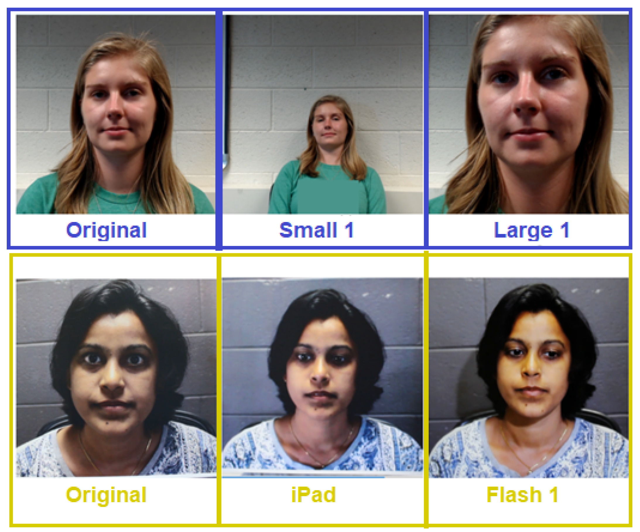 Futureinternet 14 00375 g008