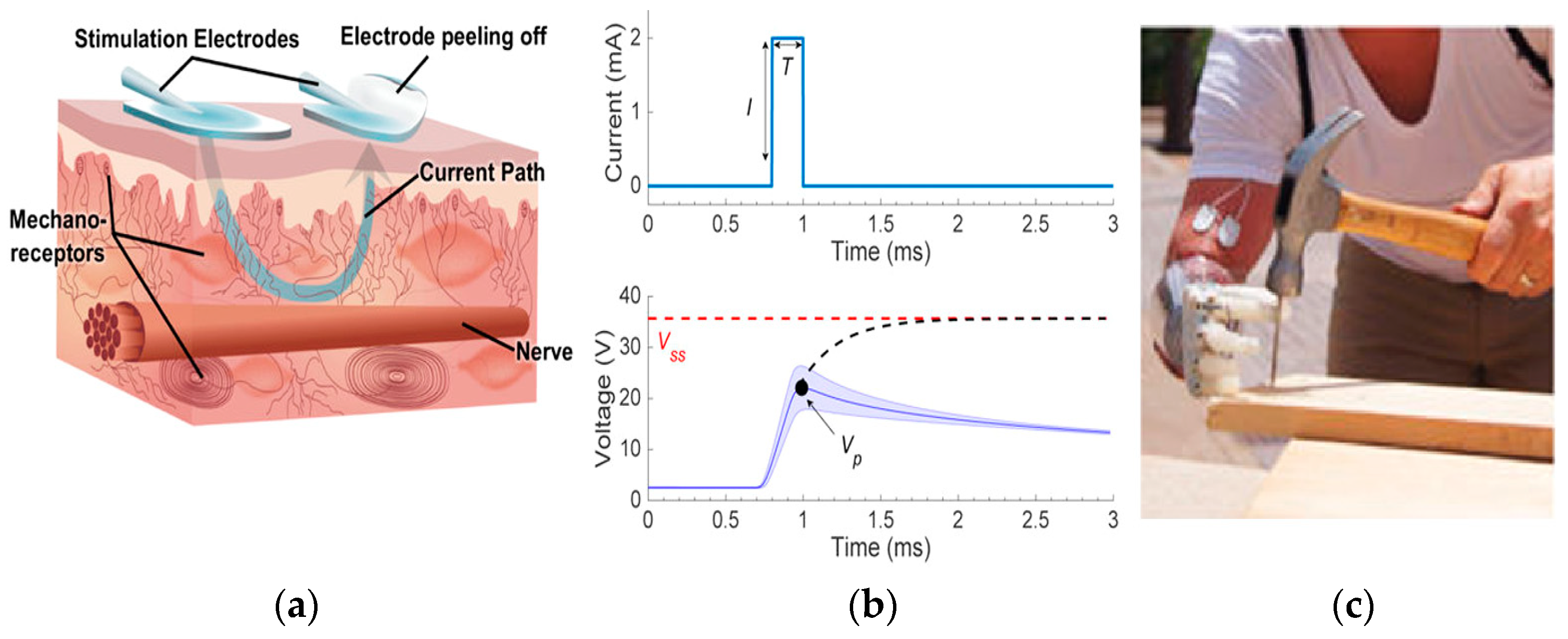 Futureinternet 15 00014 g007