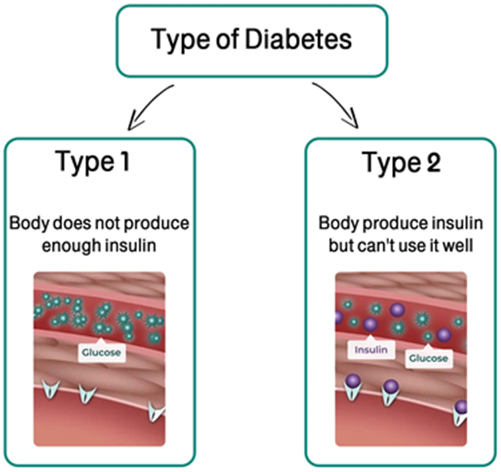 future-internet-free-full-text-diabetes-monitoring-system-in-smart