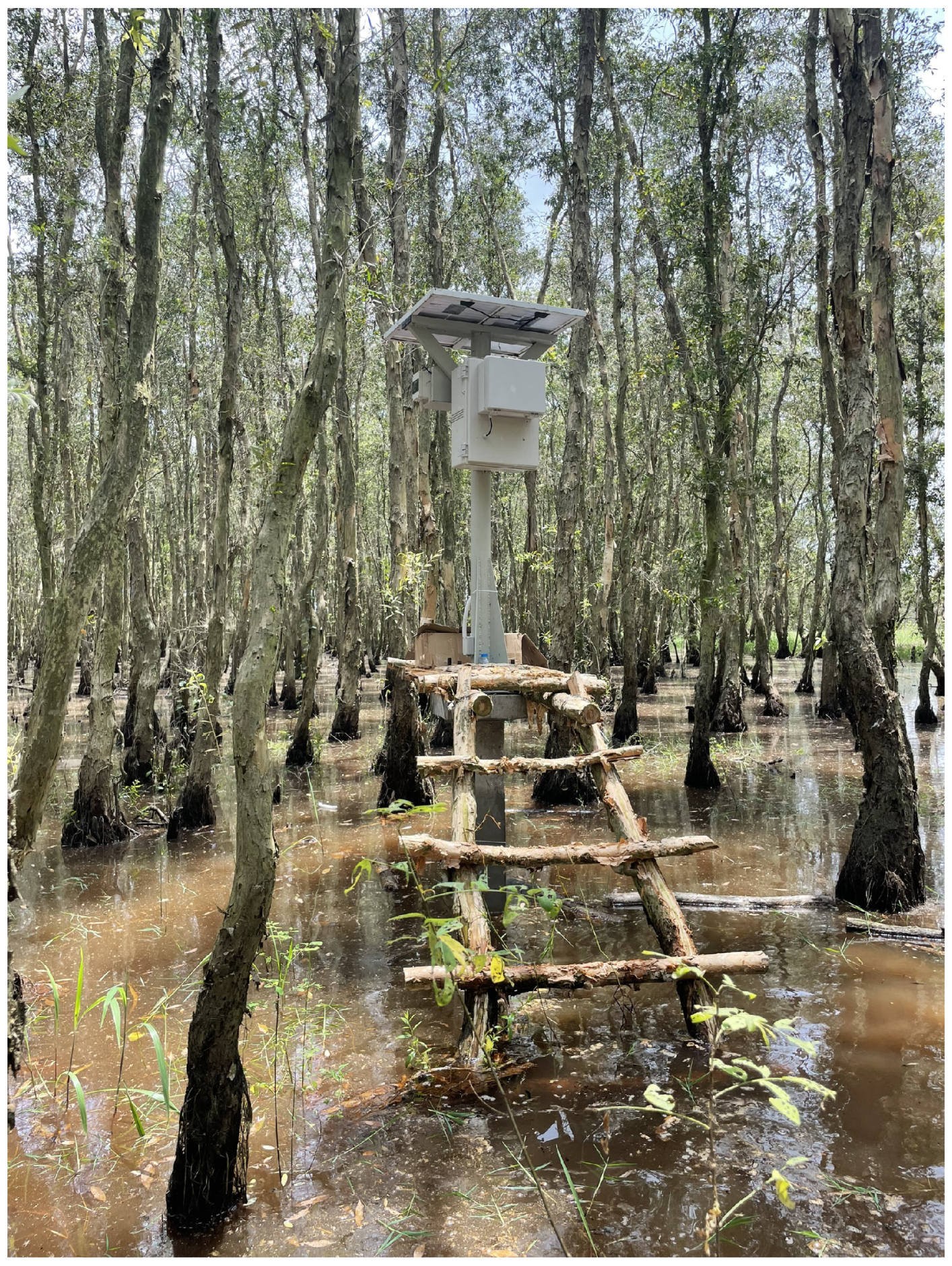 Futureinternet 15 00245 g004