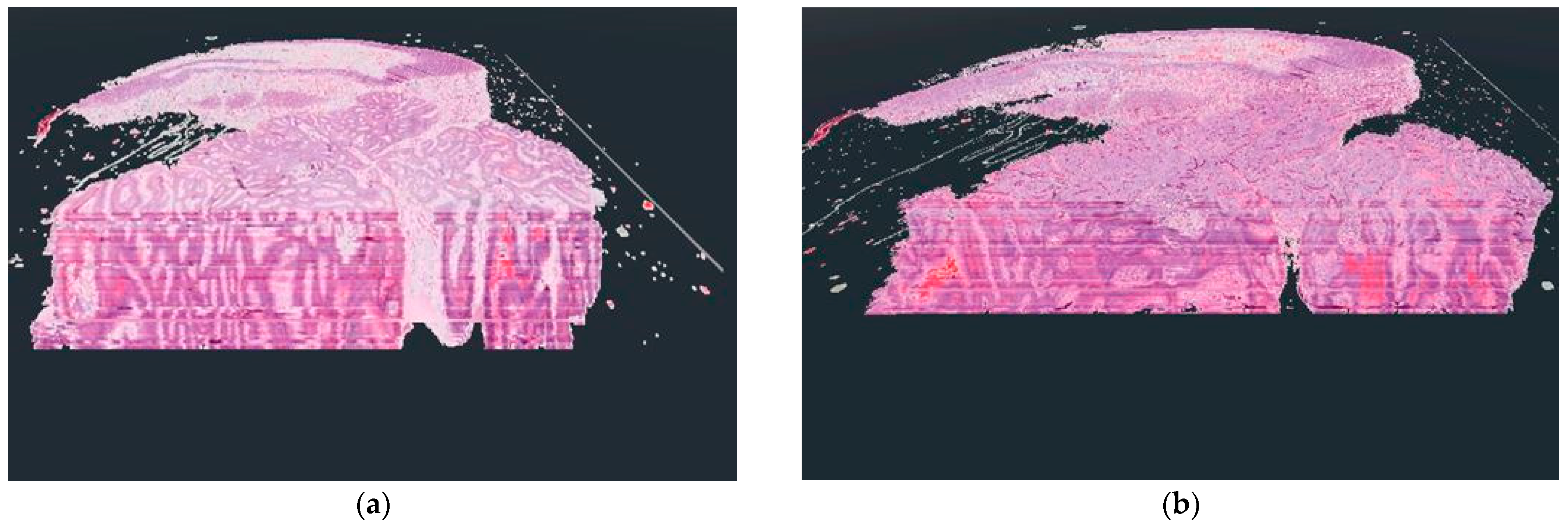 Futureinternet 15 00284 g004