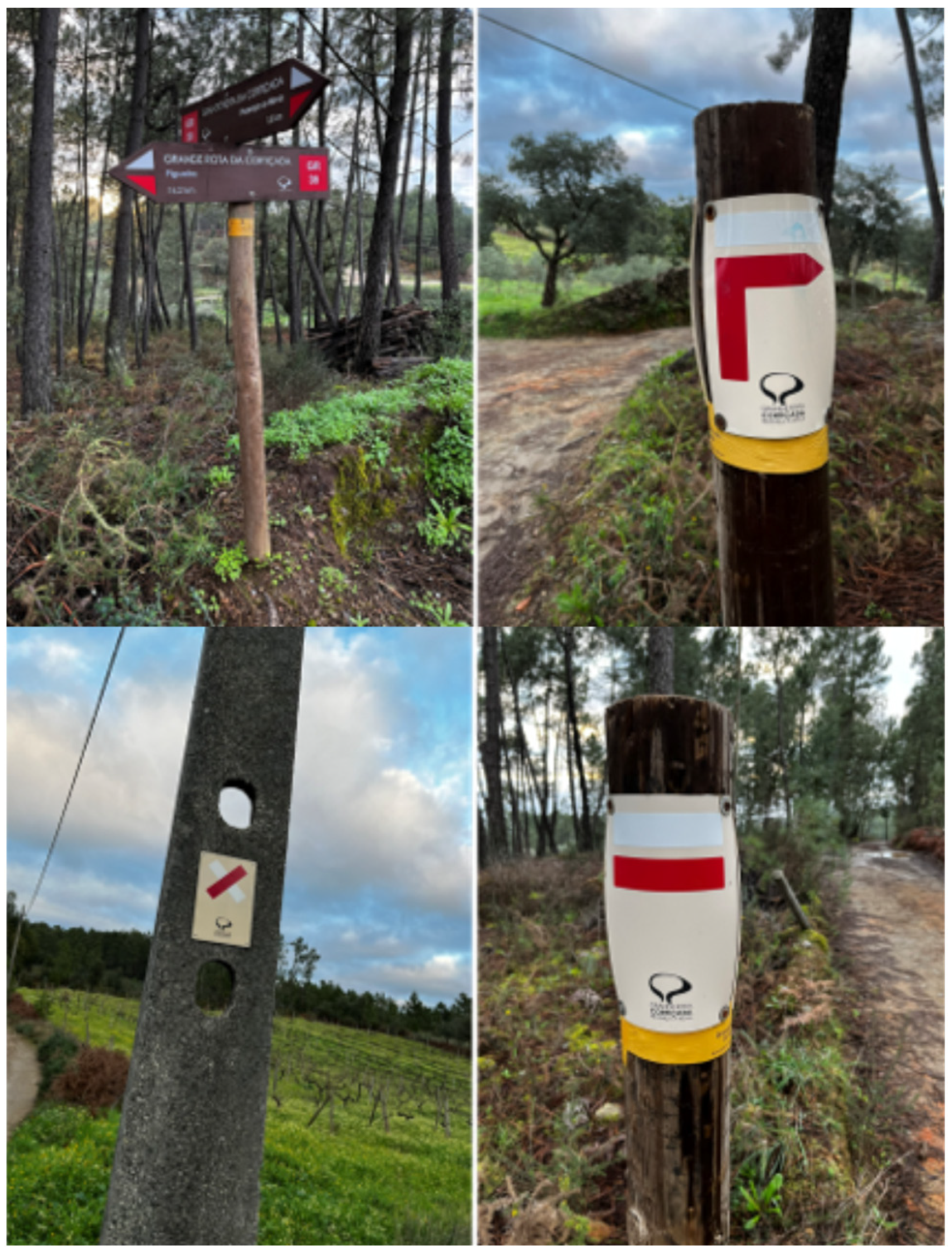 Futureinternet 16 00104 g002