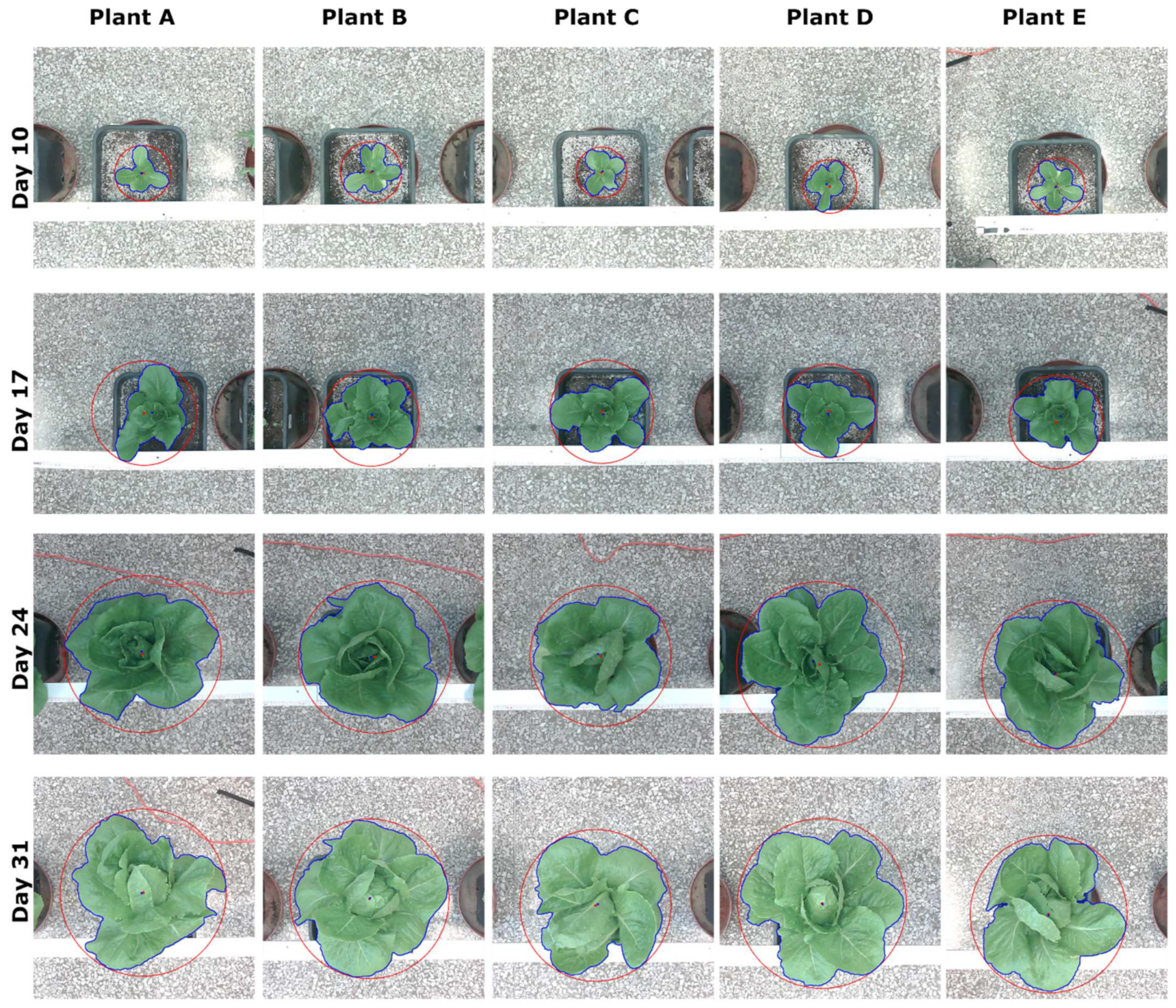 Futureinternet 16 00145 g016