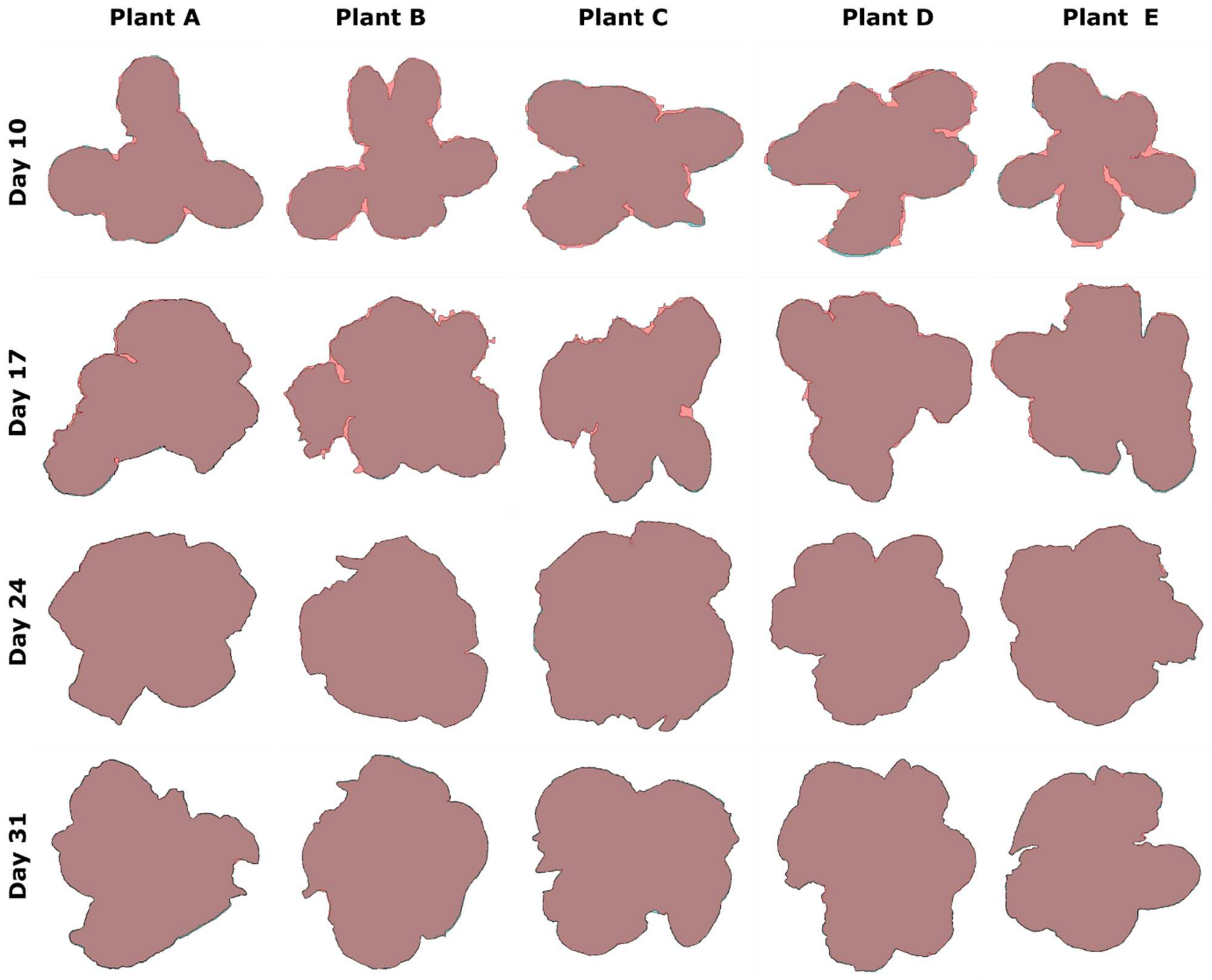 Futureinternet 16 00145 g019