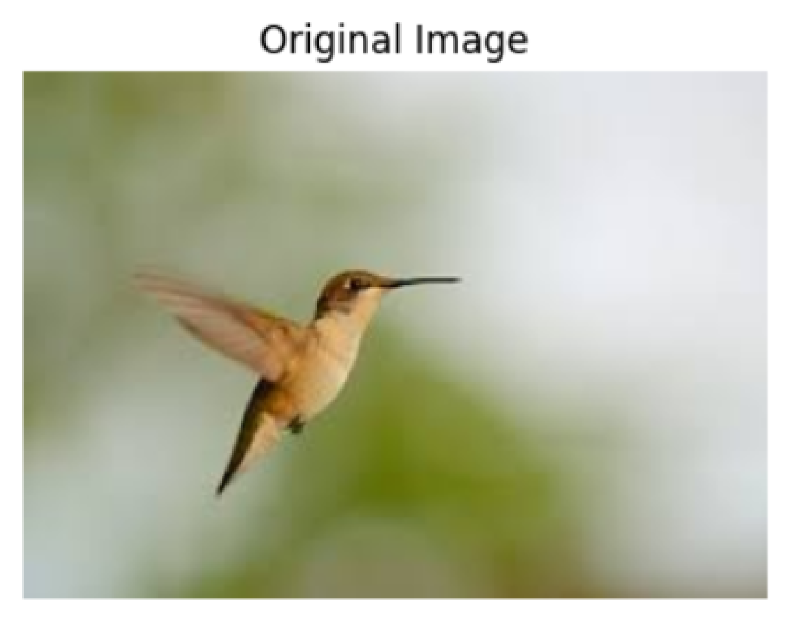 Futureinternet 16 00432 g002