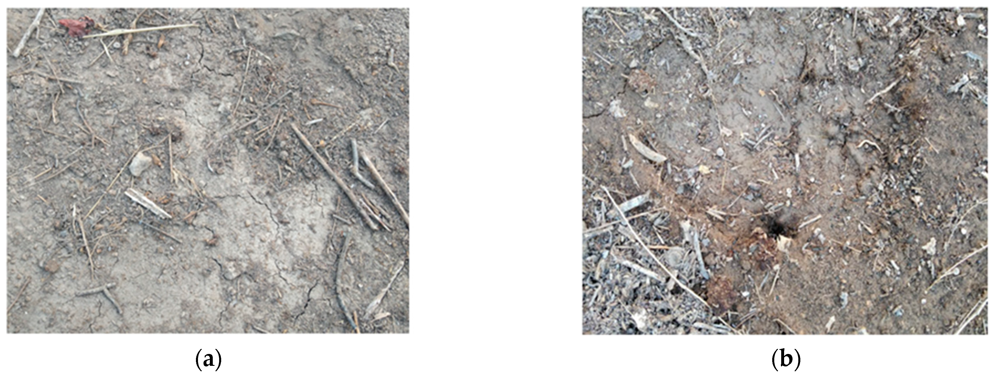 Futureinternet 16 00443 g012