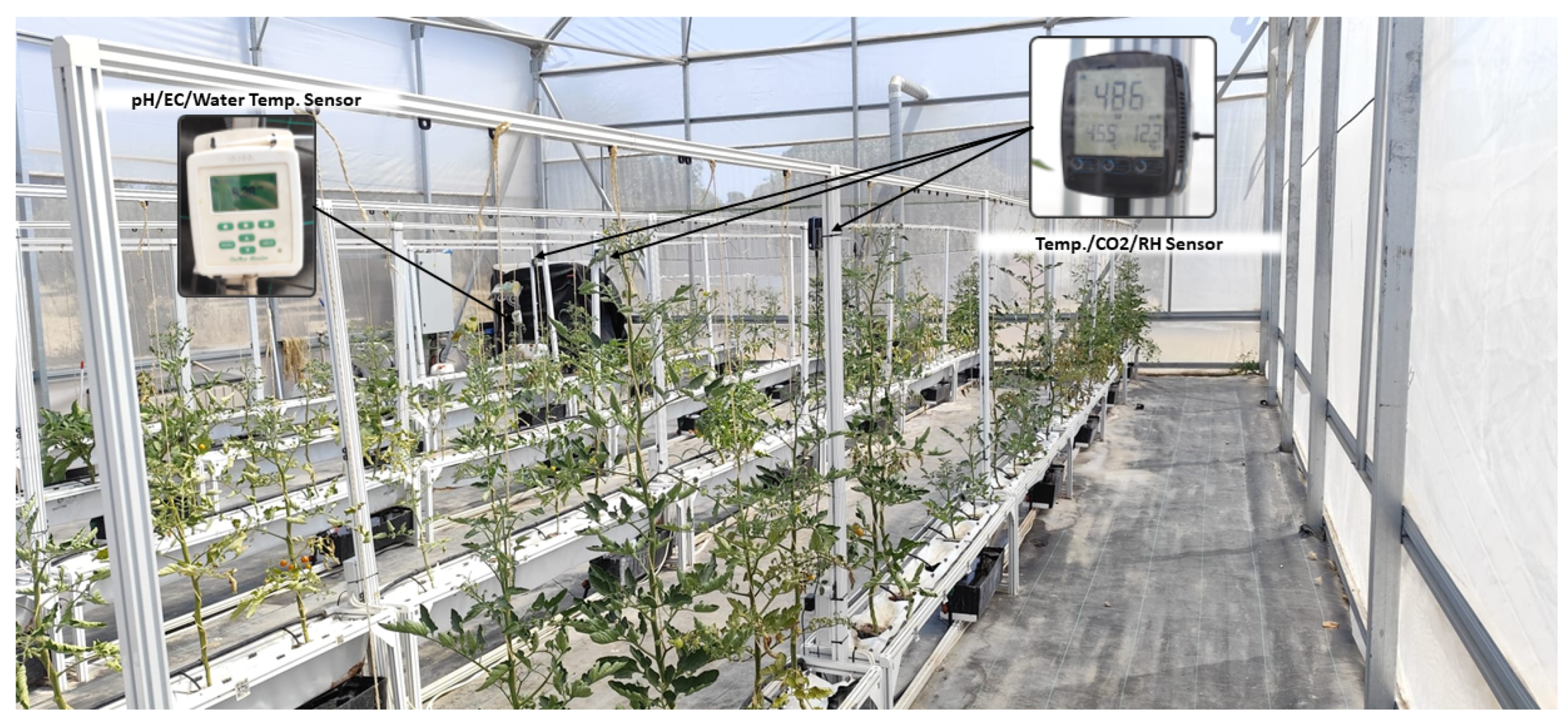 Futureinternet 17 00347 g002