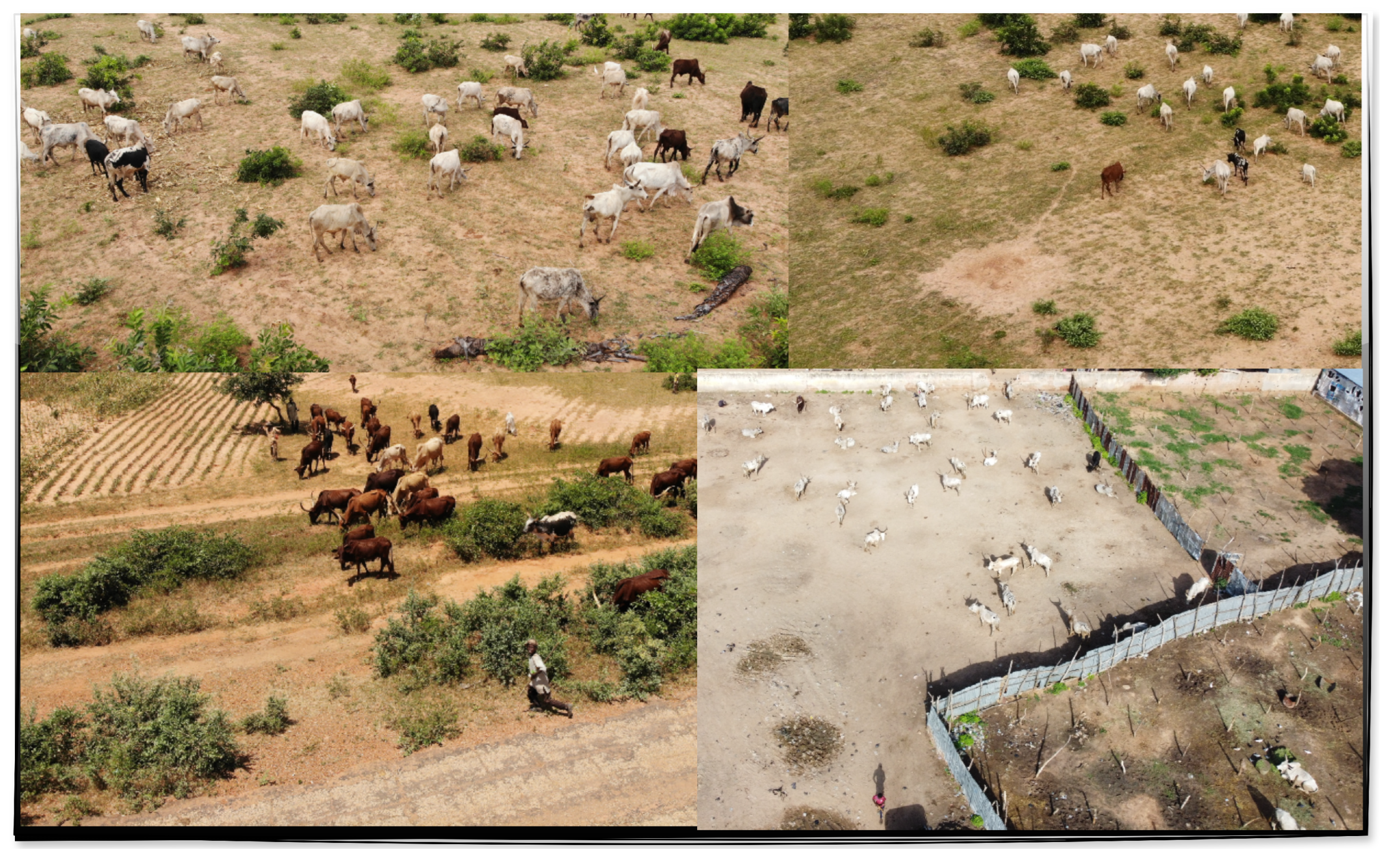 Futureinternet 17 00431 g002