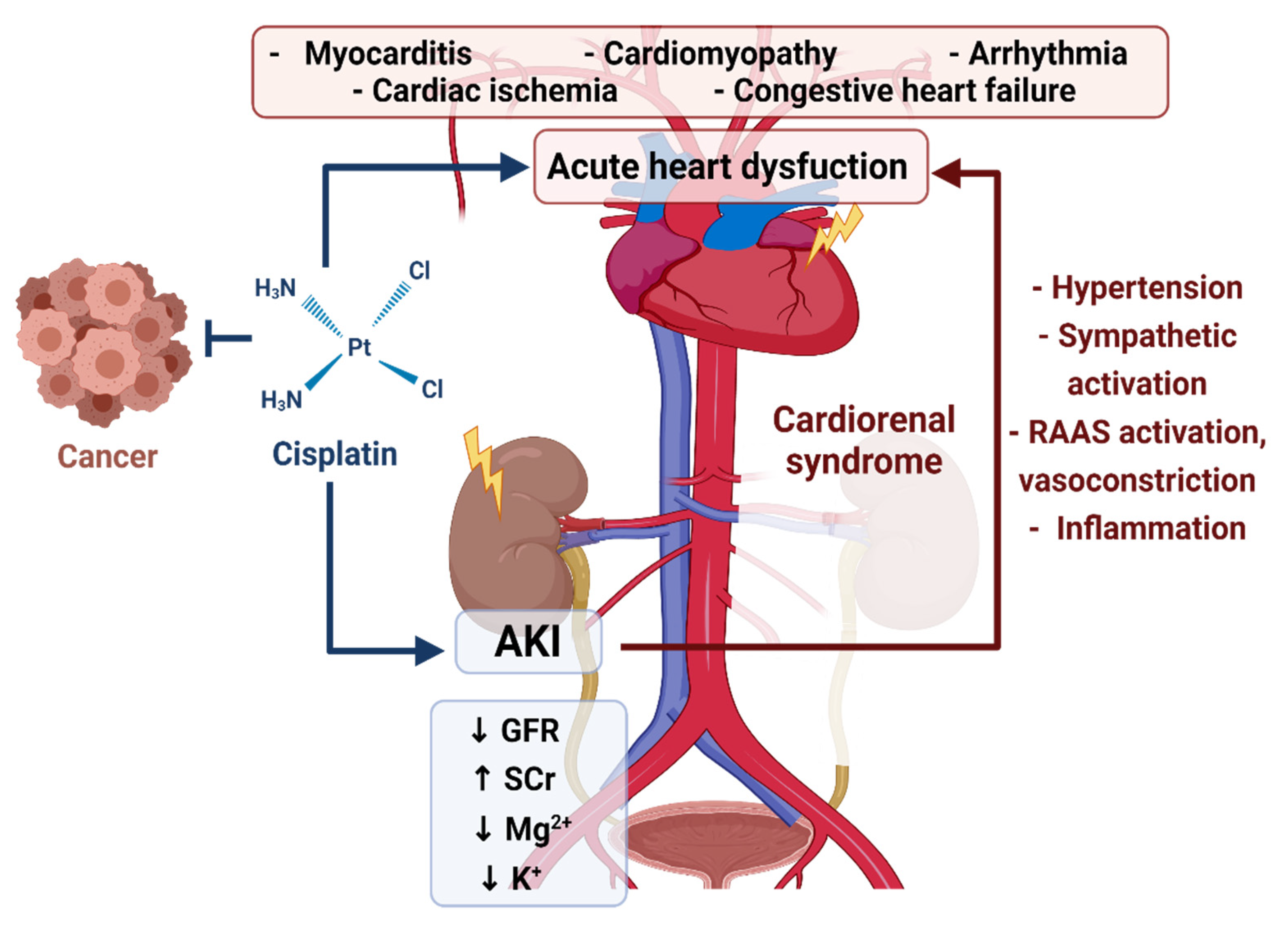 Futurepharmacol 01 00002 g001