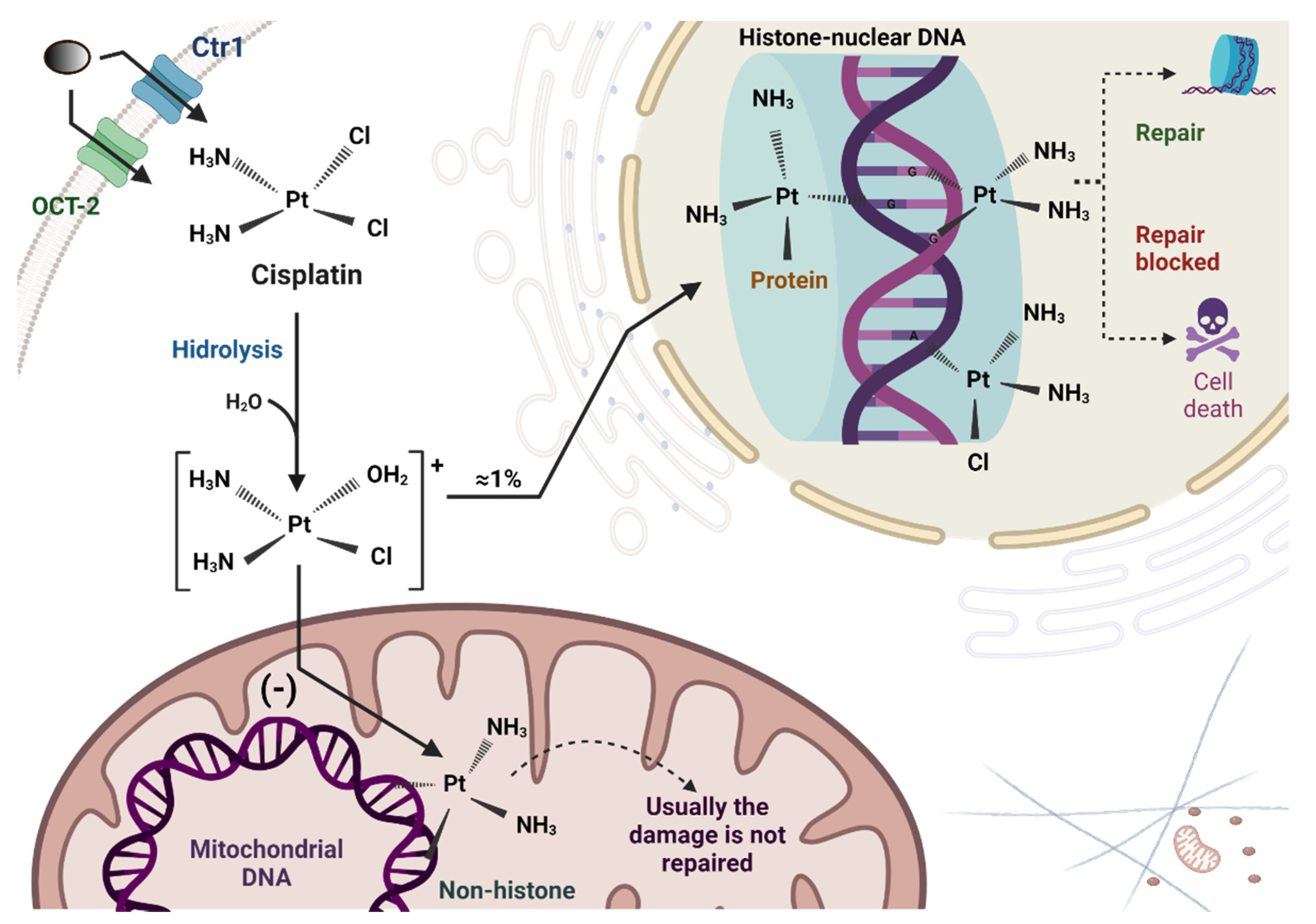 Futurepharmacol 01 00002 g002