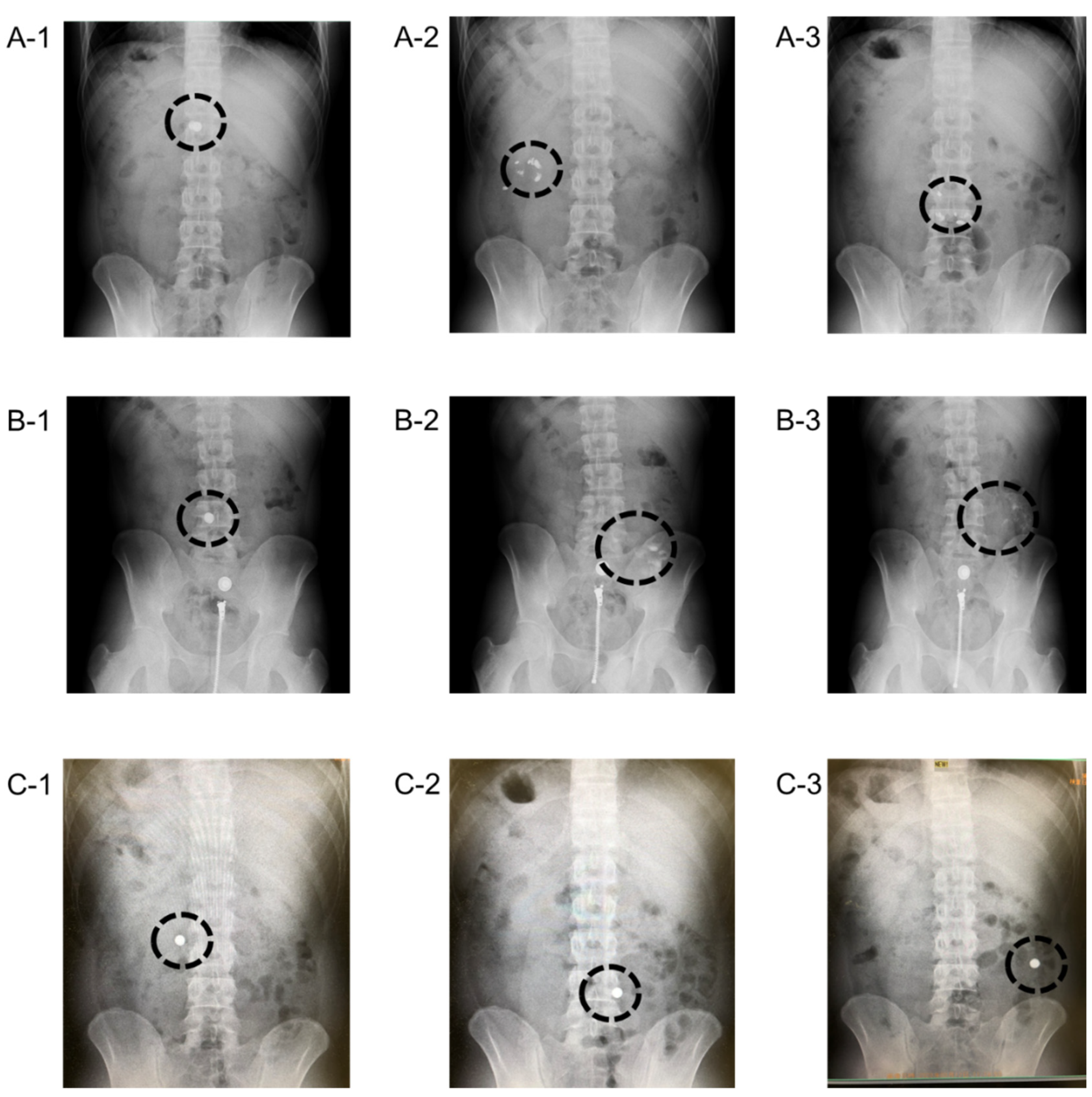 Futurepharmacol 01 00005 g003
