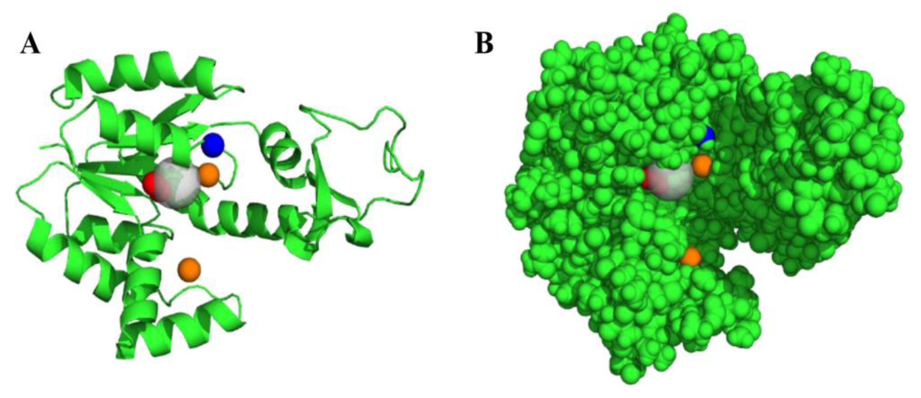 Futurepharmacol 01 00006 g004