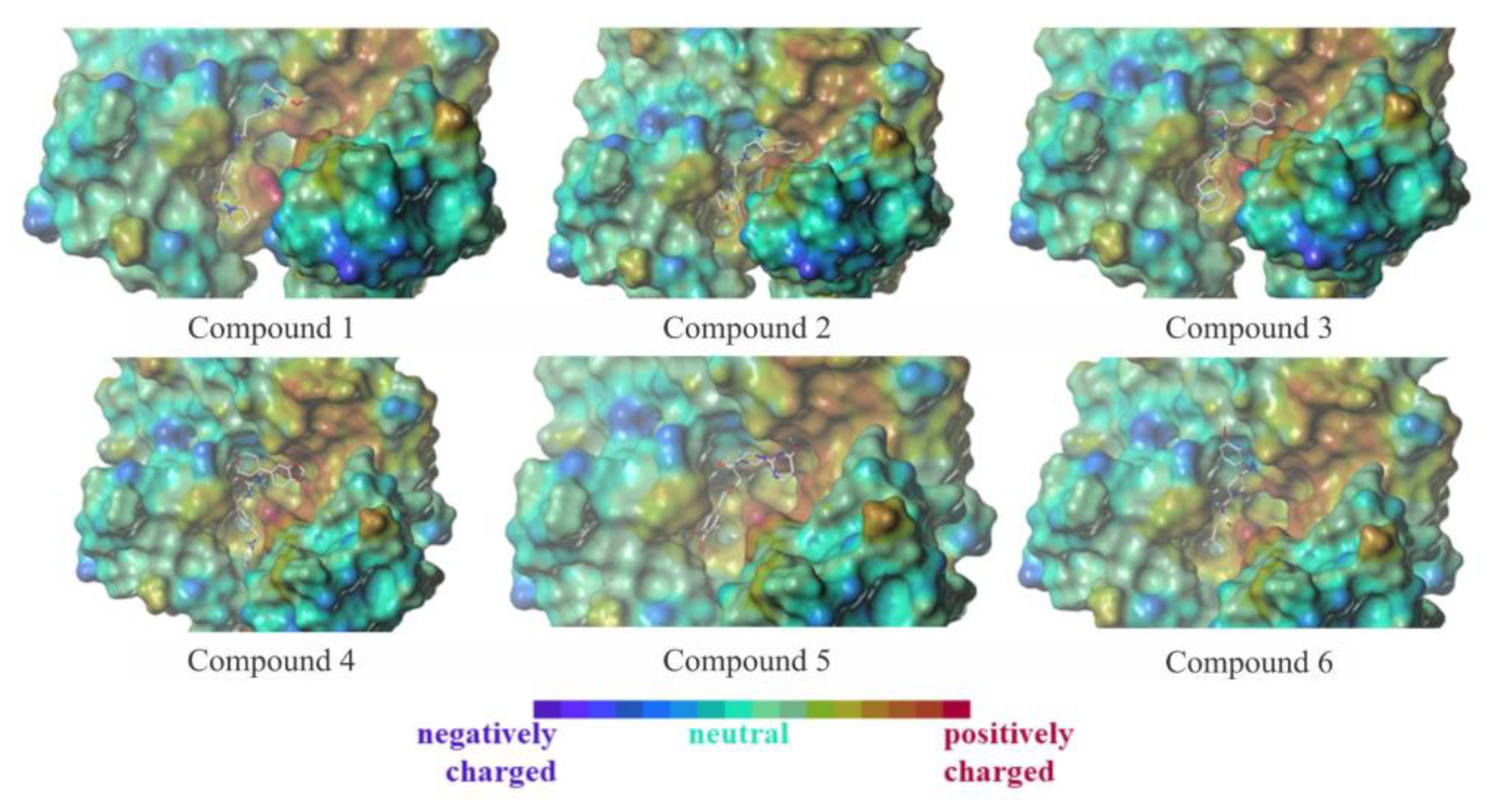 Futurepharmacol 01 00006 g006