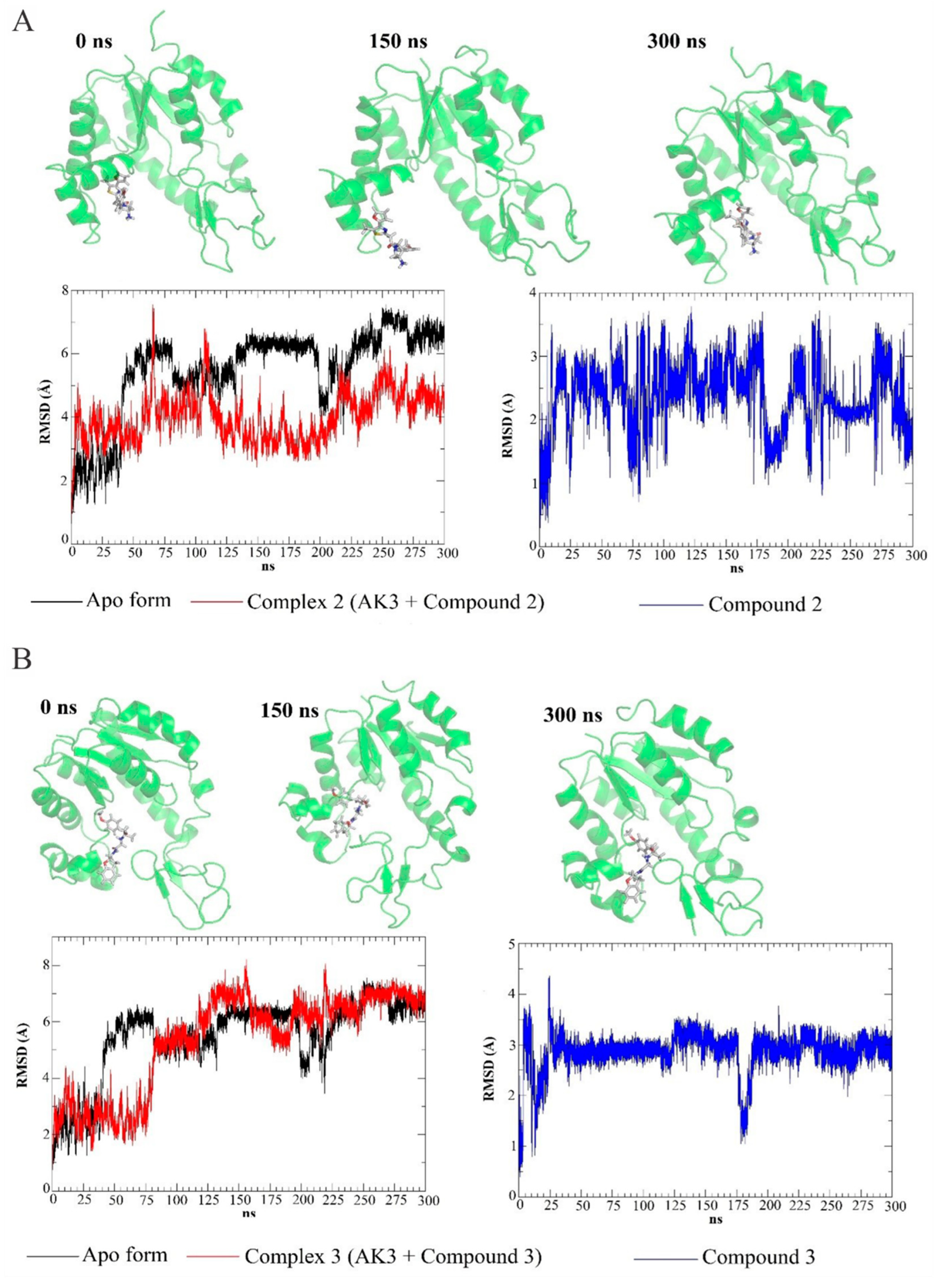 Futurepharmacol 01 00006 g008