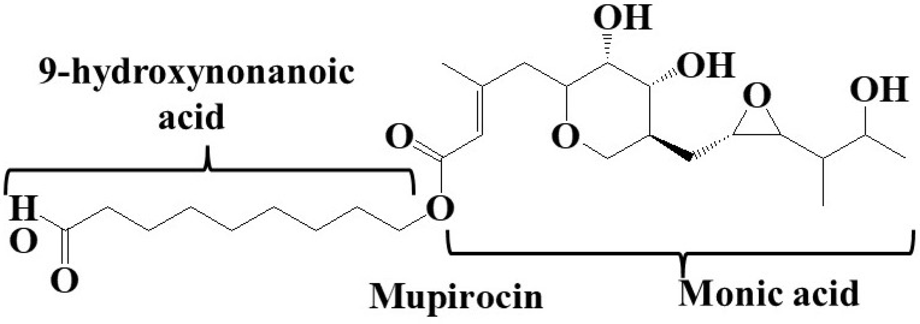 Future Pharmacology Free FullText Recent Advances in Mupirocin