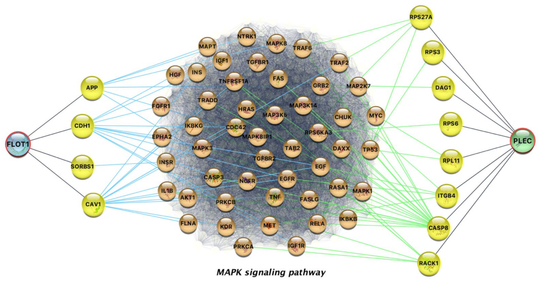 Futurepharmacol 02 00003 g003