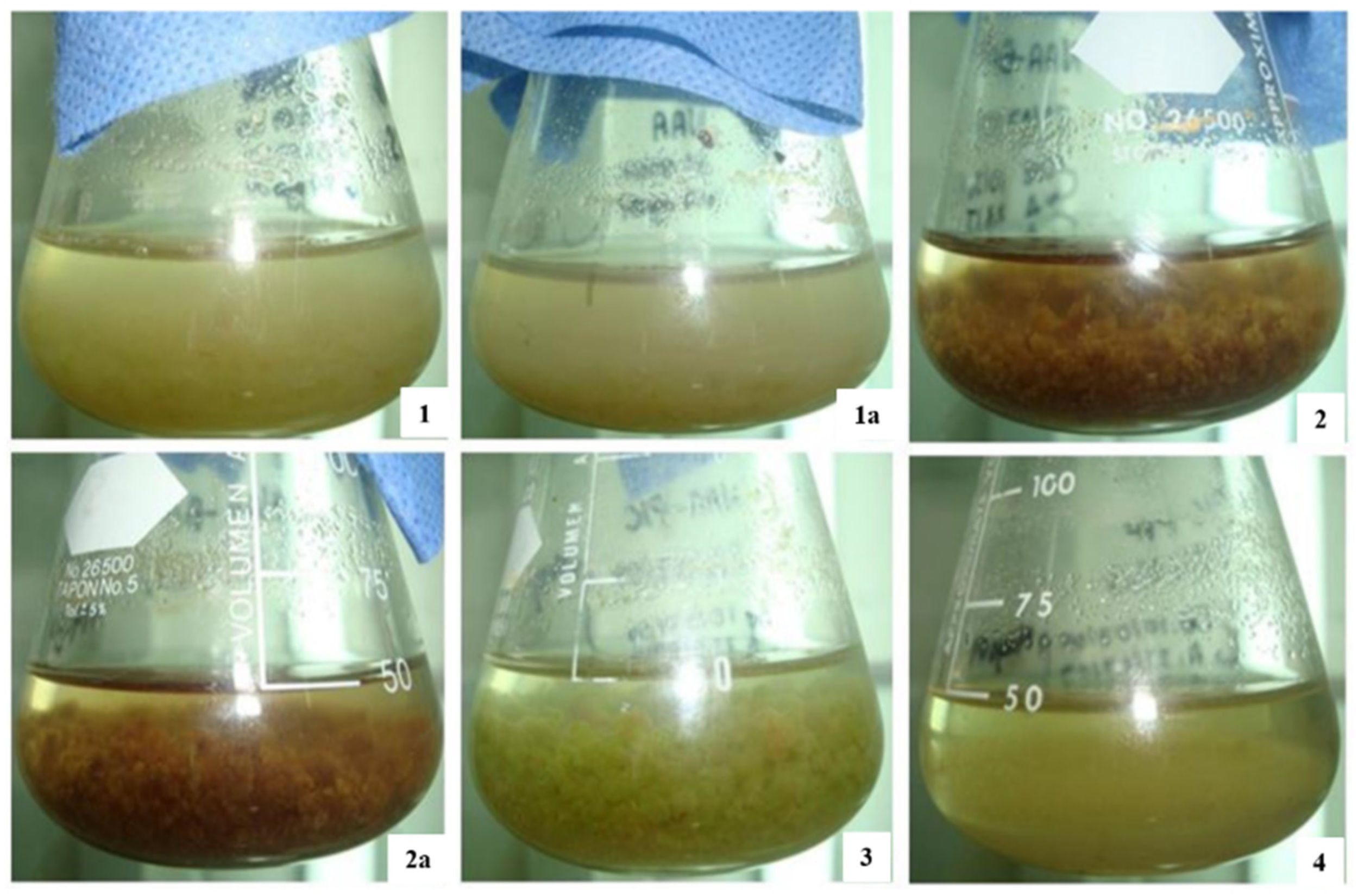 Futurepharmacol 02 00004 g001 Futurepharmacol 02 00004 g001